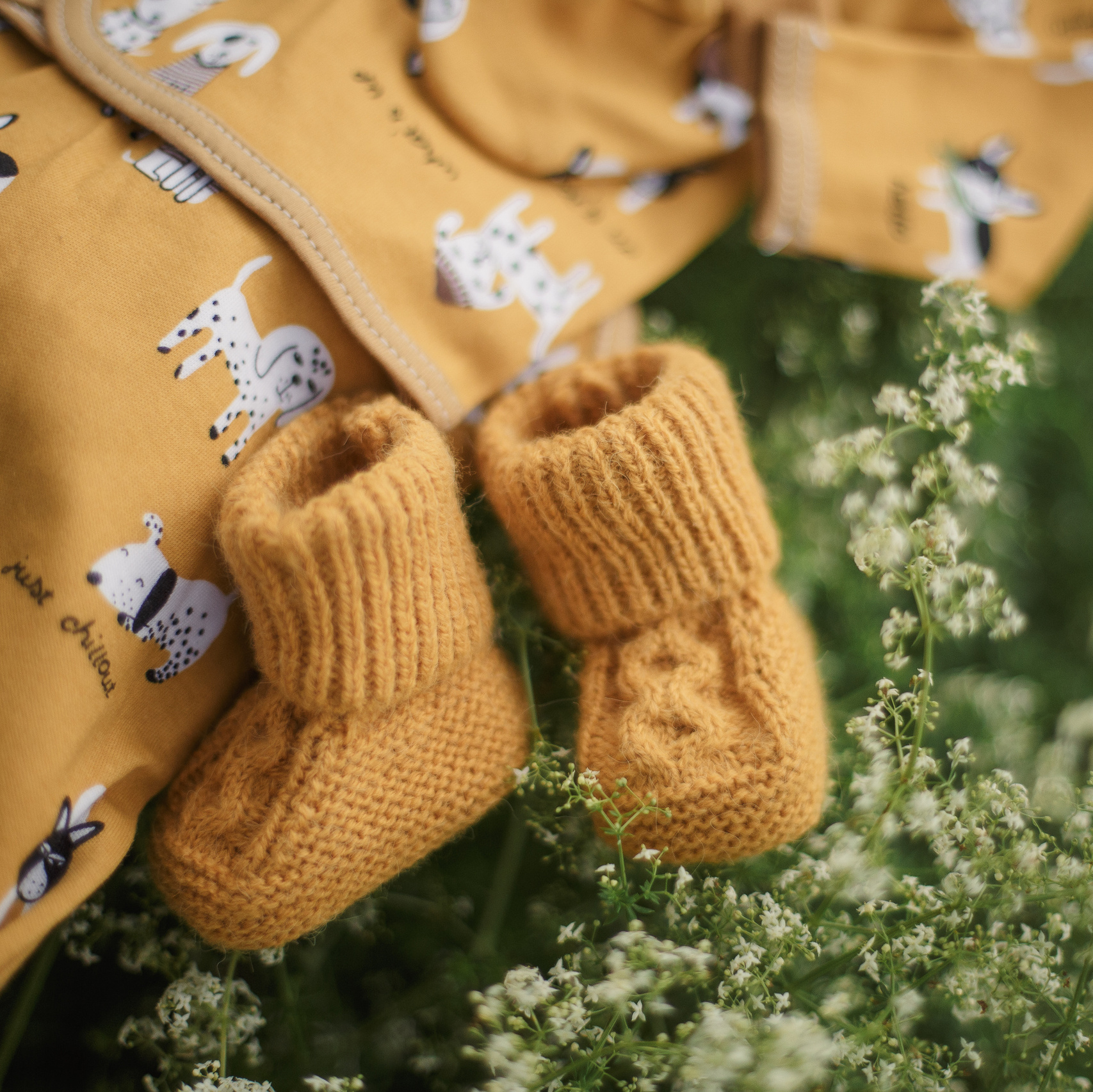 Hipnodzemdību kuss online latviešu valodā. Populārākā kāzu, bērnu un ģimeņu fotogrāfe Latgalē Veronika Lokotko