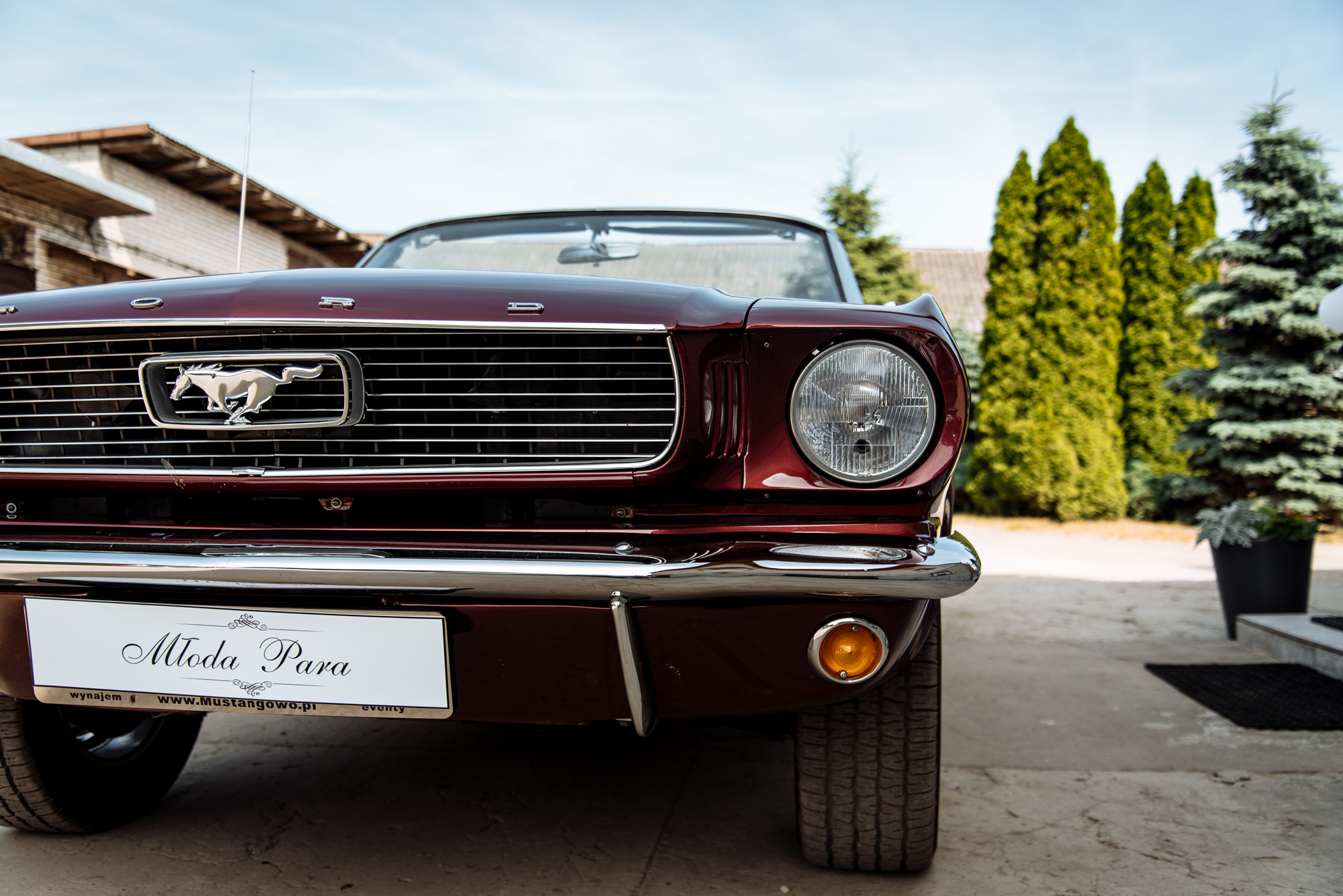 Klaudia & Mateusz. NK Picture - Fotograf Lublin, Warszawa