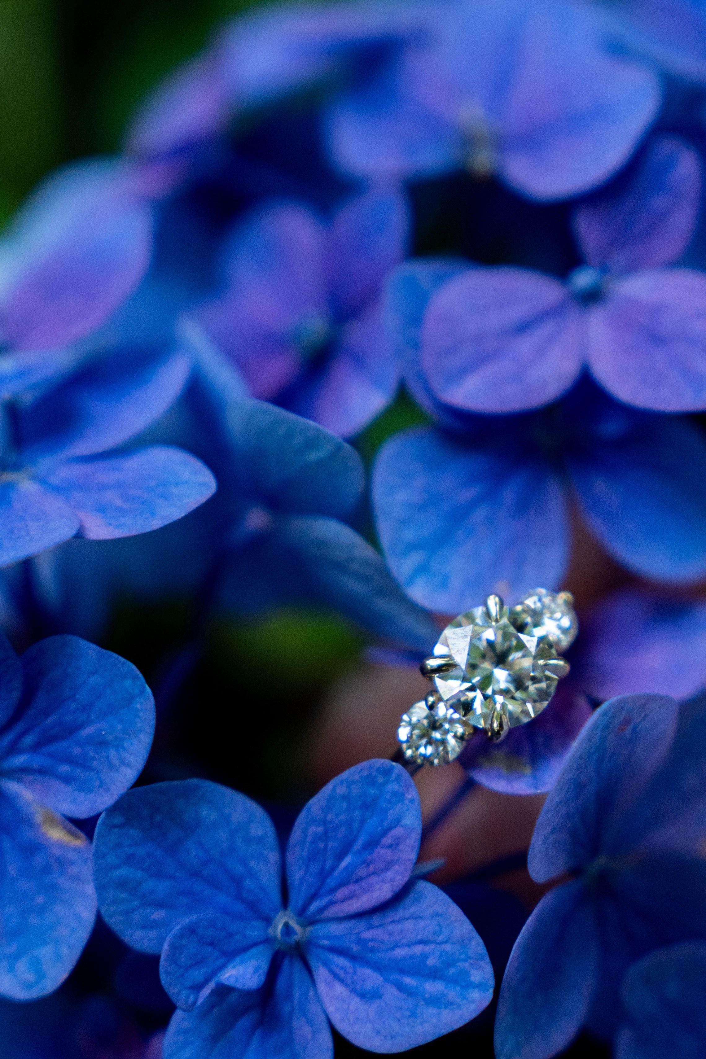 Doing a Surprise Proposal in Wroclaw: Top Locations & Tips. SL Wedding Photo — Editorial, Elegant & Timeless Wedding Photography in Poland and Across Europe