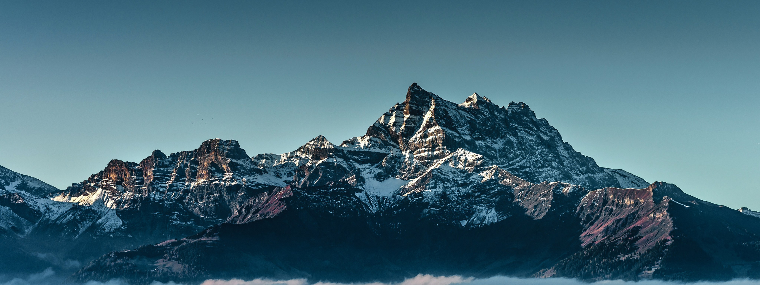 Archives de photographies. Galerie de photos. Portfolio du photographe. Photographe à Strasbourg | Portraits, Studio, Enfants, Événements