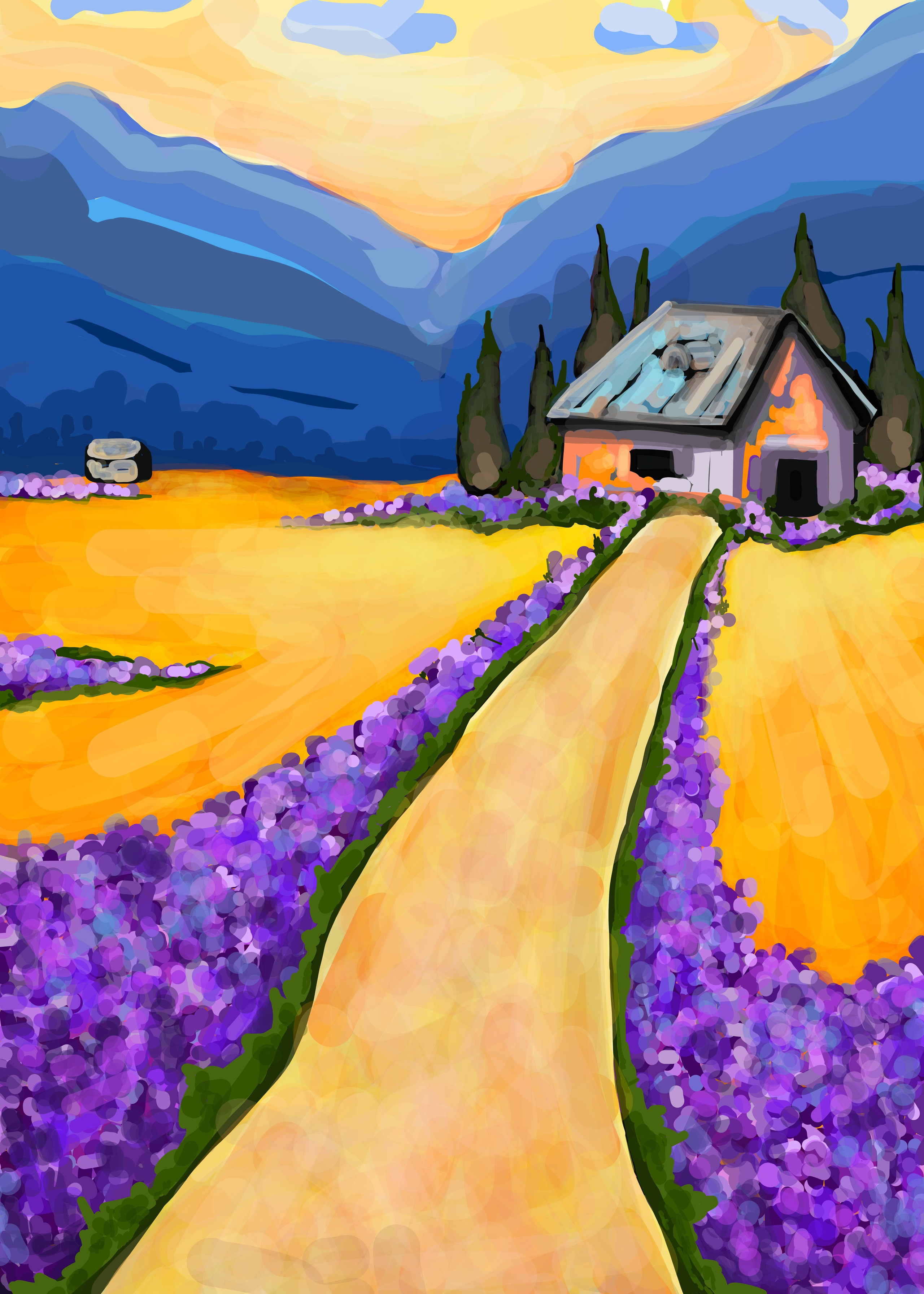 חנות. דף הבית