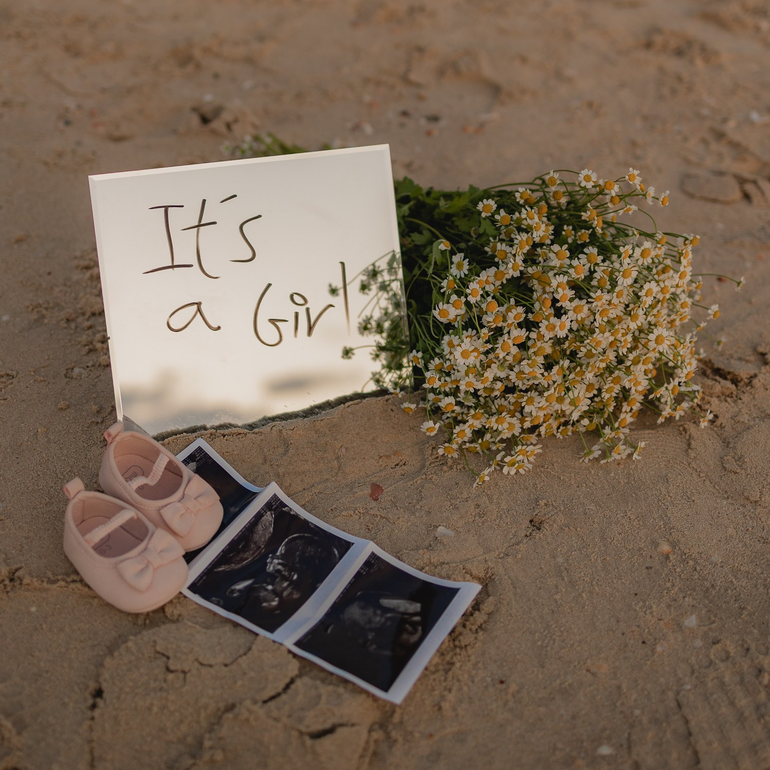 שאלות נפוצות הריון. דף בית