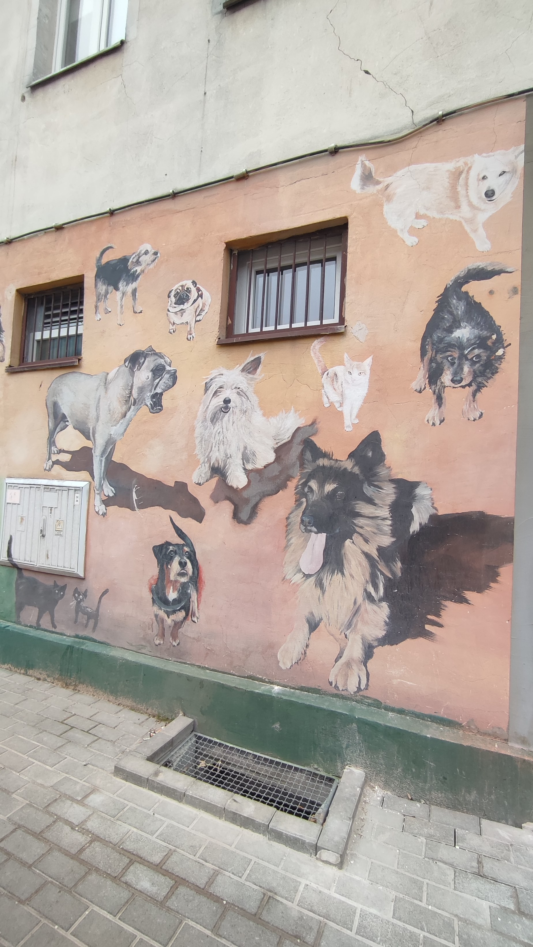 Що подитивитись з дітьми у Вроцлаві. Сімейний фотограф Вроцлав - Анна Цуканова