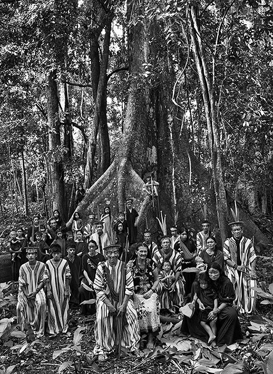 © Carola Allemandi / Amazonia Salgado