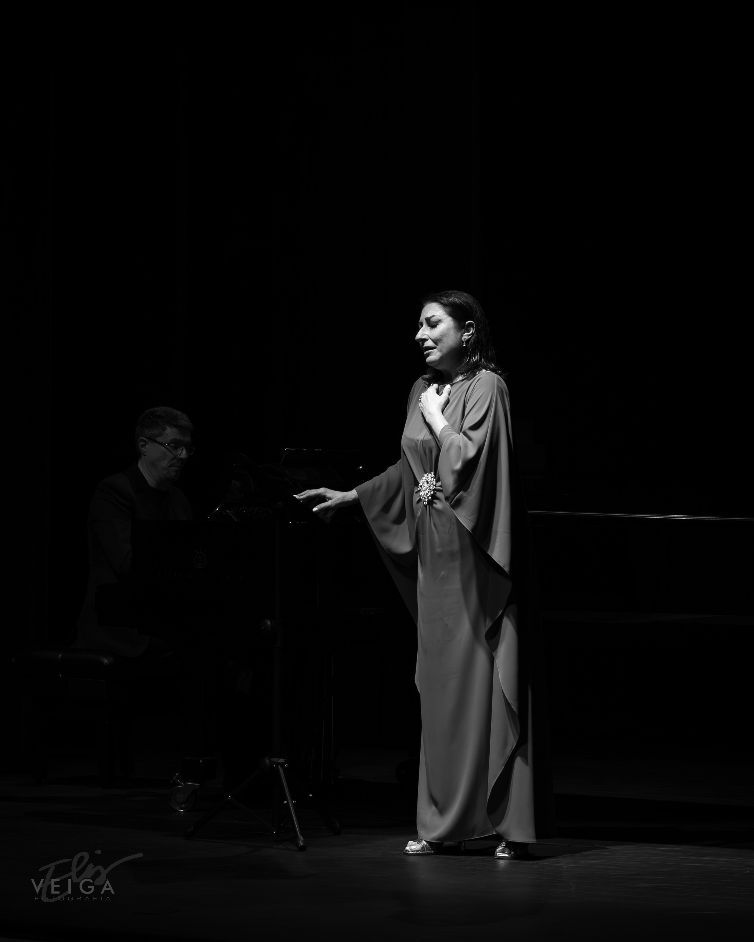 La música clásica como protagonista. Elisveiga