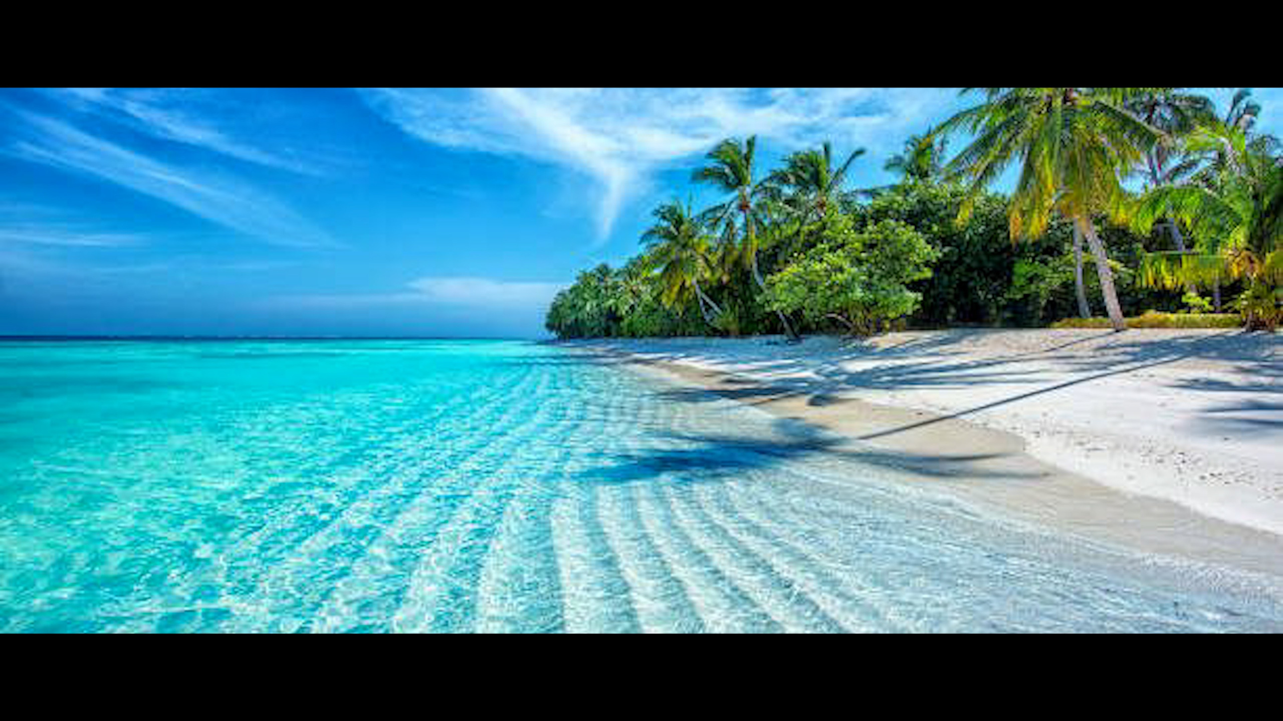 ID-Brothers Workshop. Servicii Foto Video în Chișinău și Europa ID-Brothers