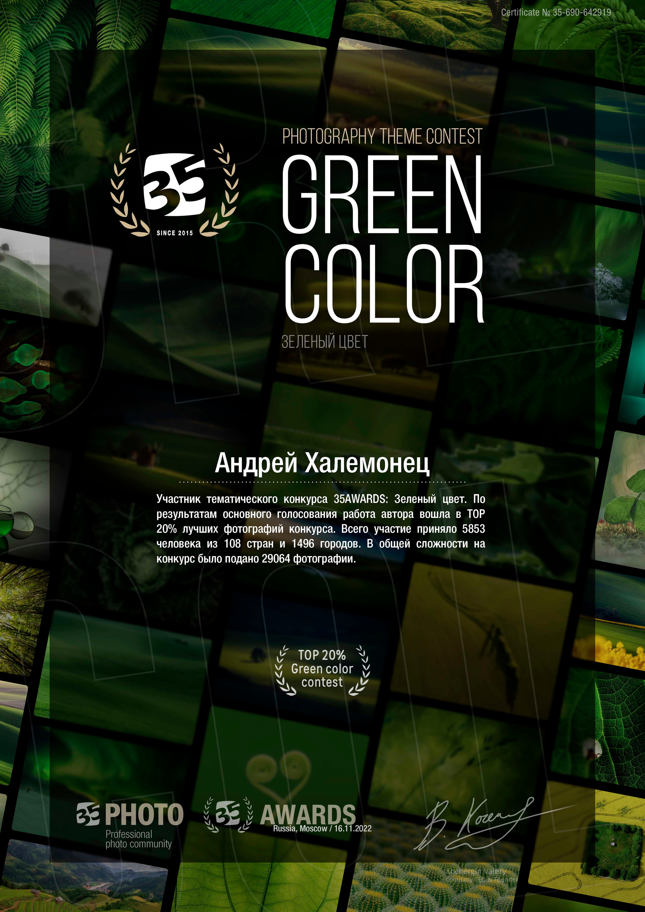 диплом 35 awards.