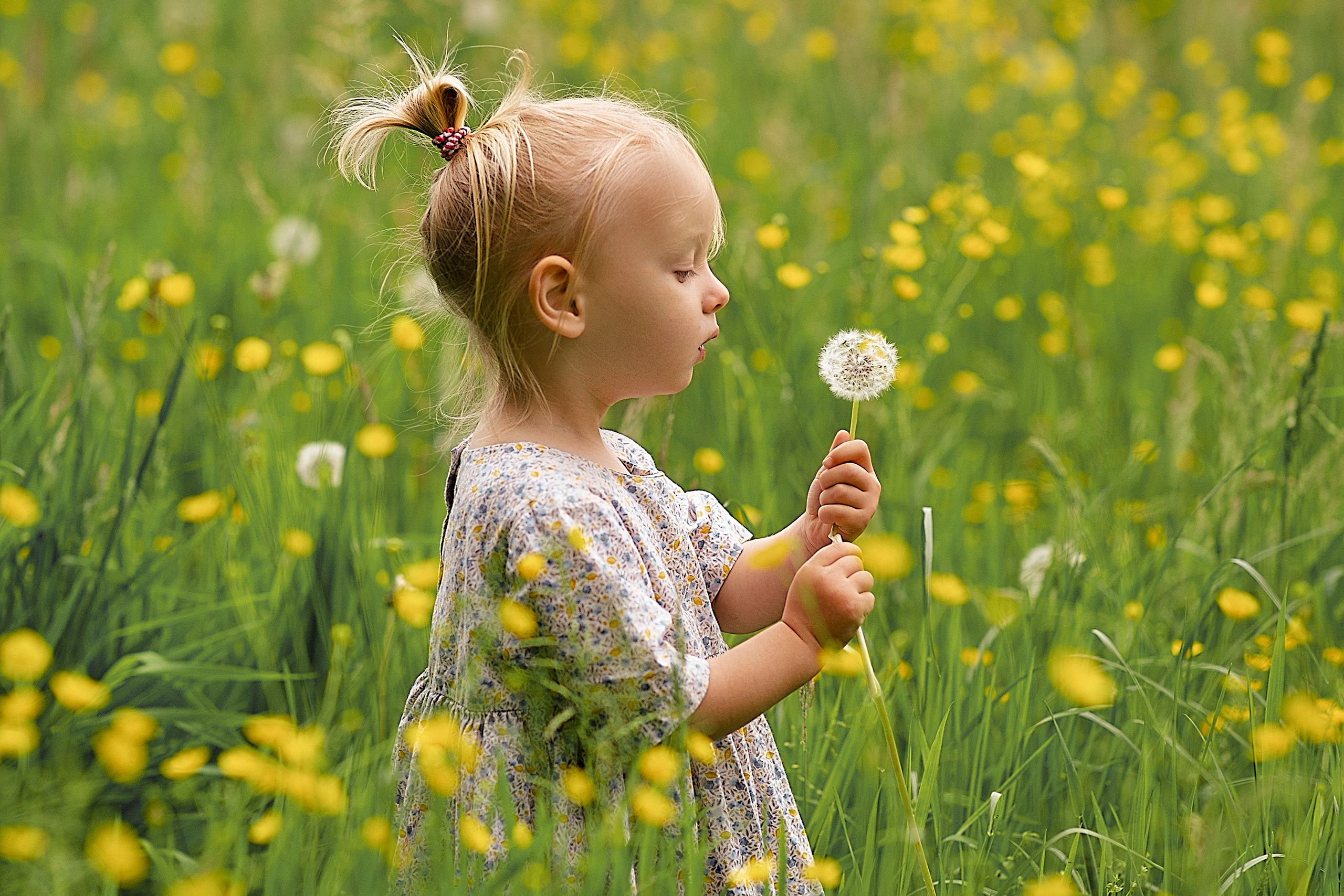 Kindershoot. Fotograaf Zwolle.