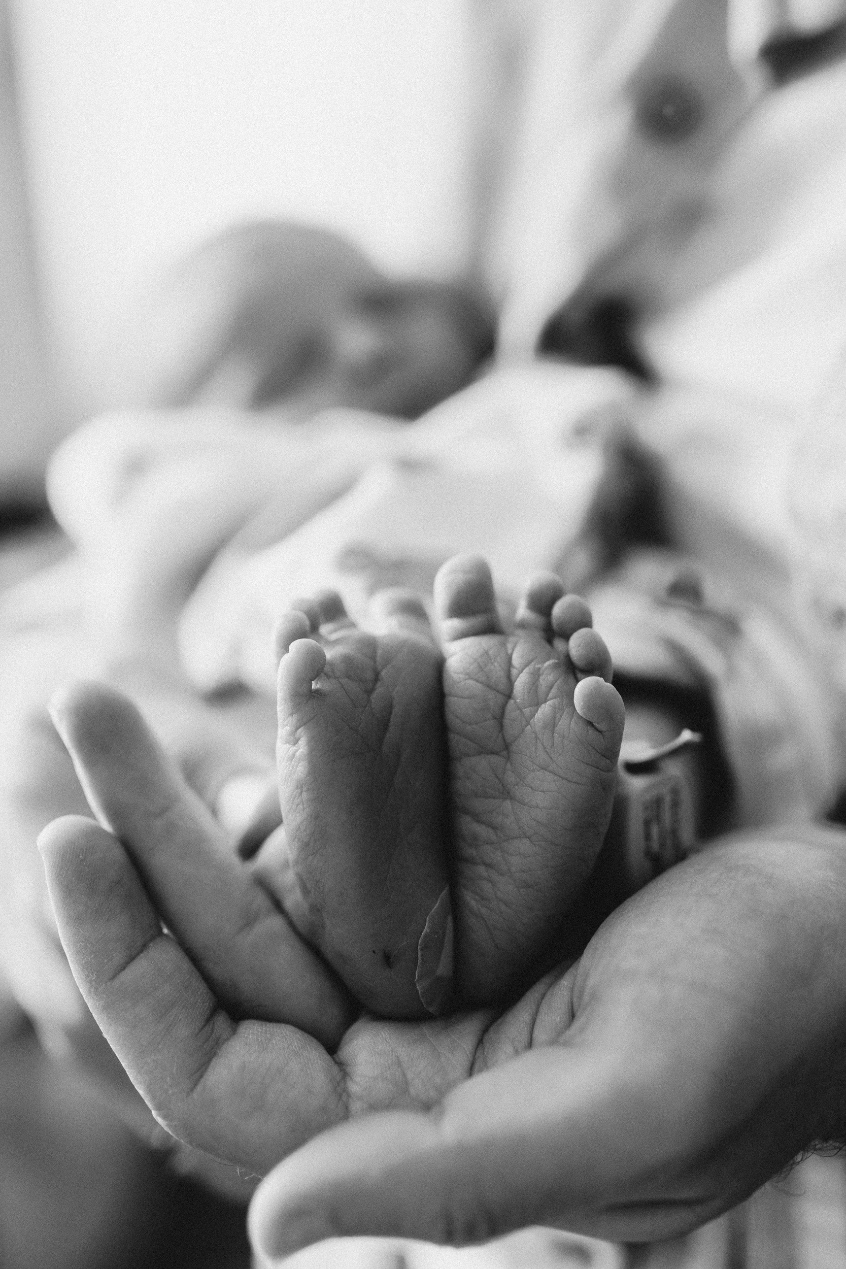 Fresh 48: Capturing the First Moments That Last a Lifetime. Lifestyle photographer in Bay Area Iryna Rakivnenko