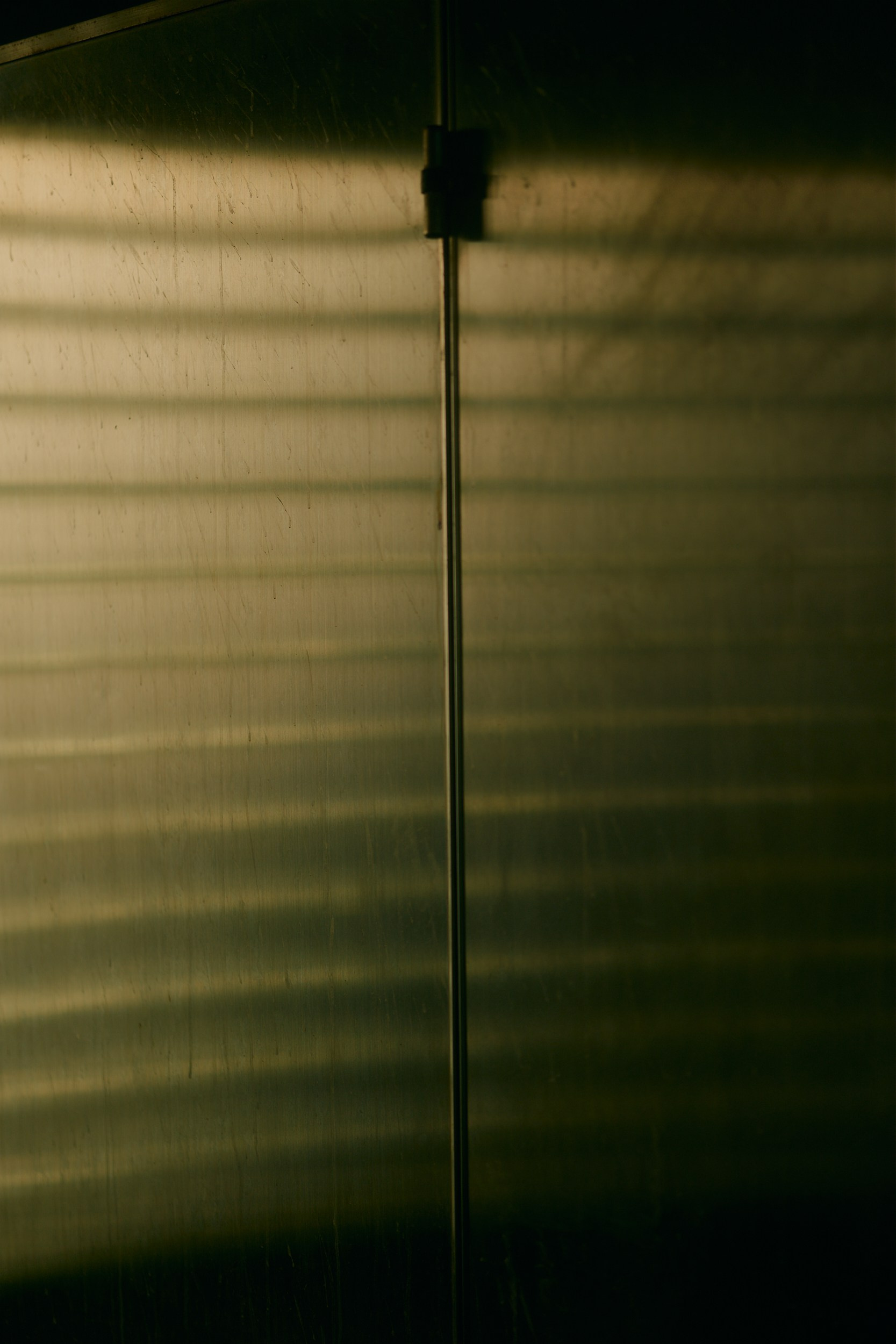 光の皮膚. MT
