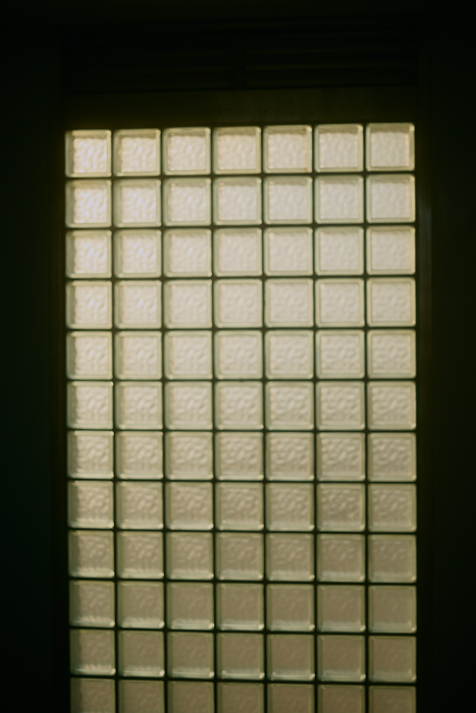 光の皮膚. MT