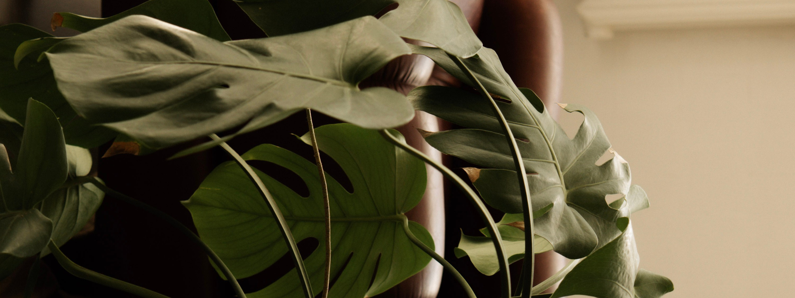 Visuaal brändidele ja SMM-teenused. Meeste ja naiste fotograaf Tallinnas Anna Sipari