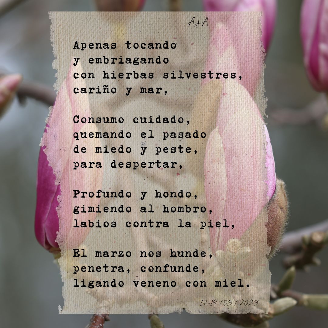 Veintitrés primaveras en un mes