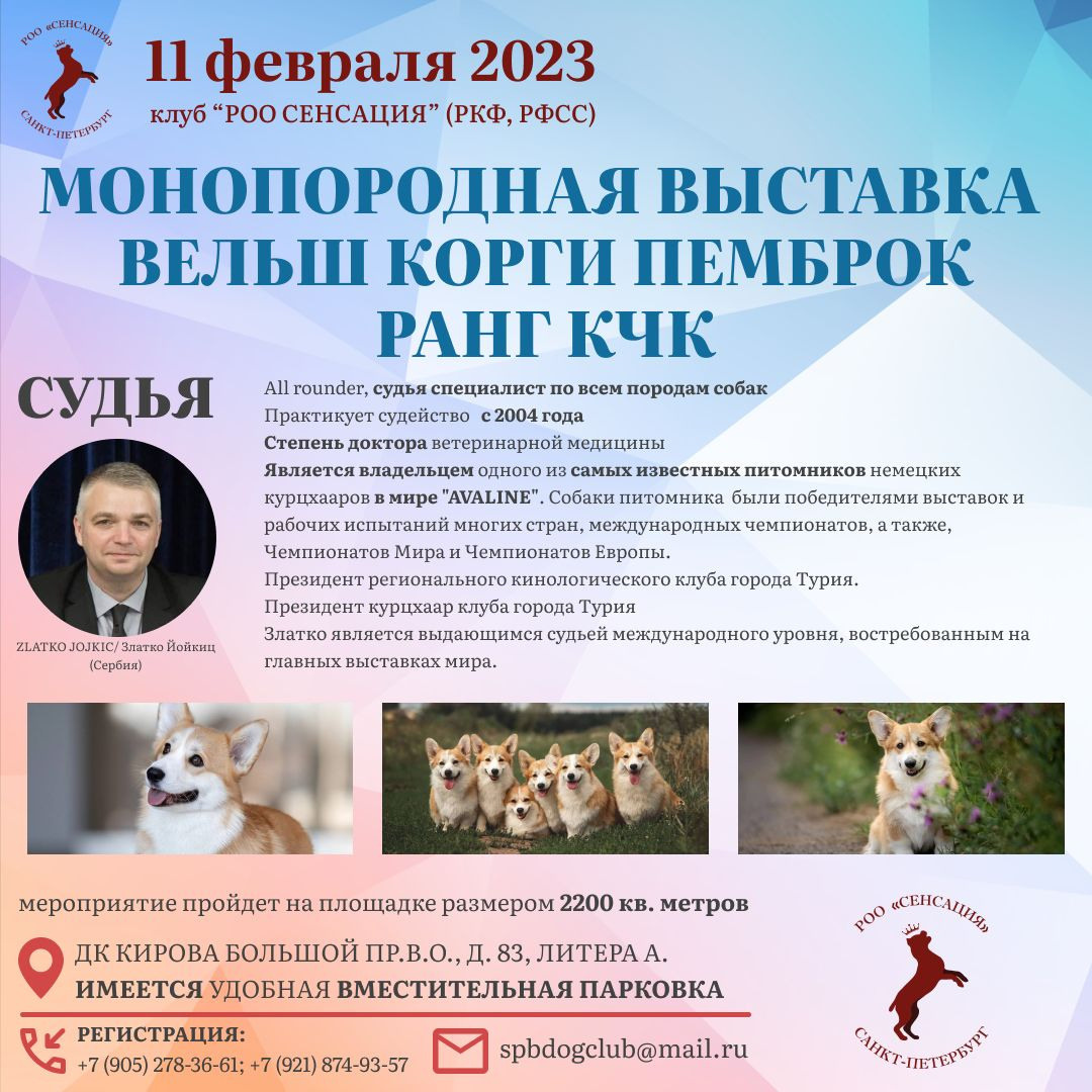 11.02.2023 ВЫСТАВКА СОБАК ВСЕХ ПОРОД (CAC, ЧФ) «СЕНСАЦИЯ». Кинологический клуб РКФ РФСС СЕНСАЦИЯ