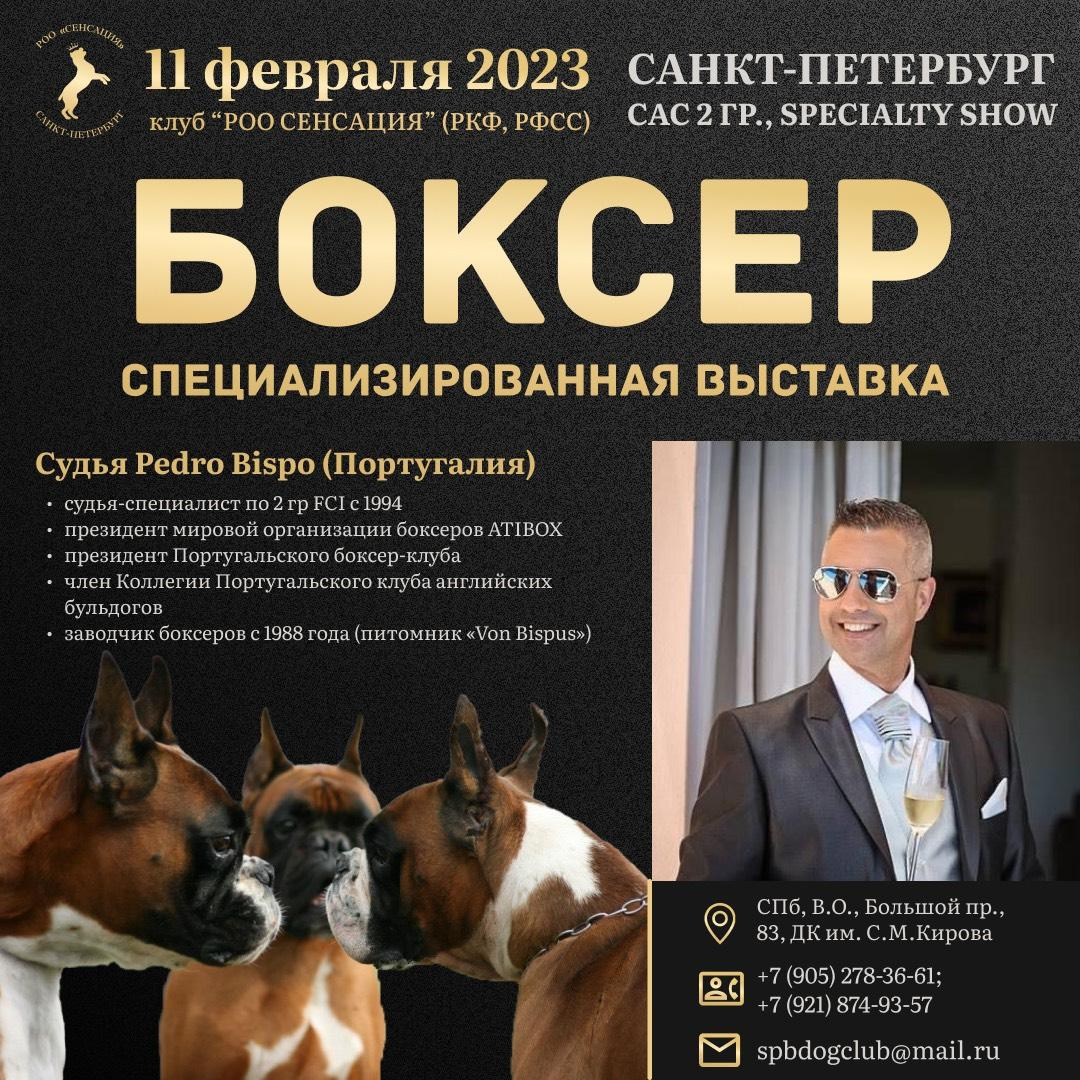 11.02.2023 ВЫСТАВКА СОБАК ВСЕХ ПОРОД (CAC, ЧФ) «СЕНСАЦИЯ». Кинологический клуб РКФ РФСС СЕНСАЦИЯ