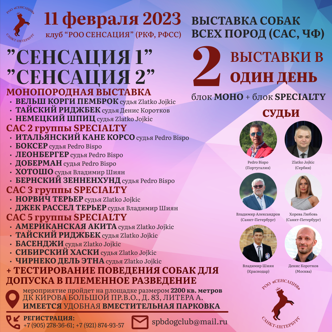 11.02.2023 ВЫСТАВКА СОБАК ВСЕХ ПОРОД (CAC, ЧФ) «СЕНСАЦИЯ». Кинологический клуб РКФ РФСС СЕНСАЦИЯ