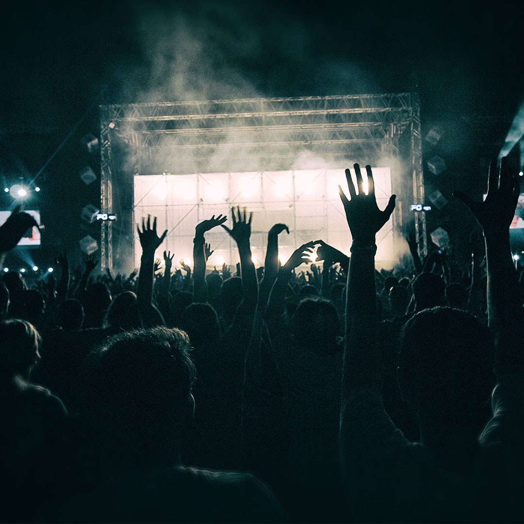 Dienstleistungen. Max D Visuals