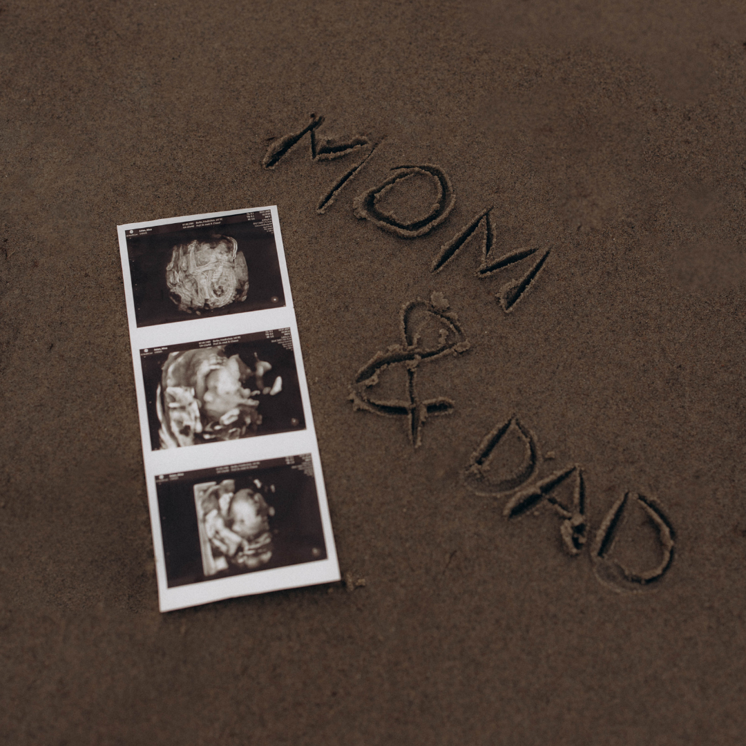 Prices. Shabnam Tavoosi, Photographer in Berlin