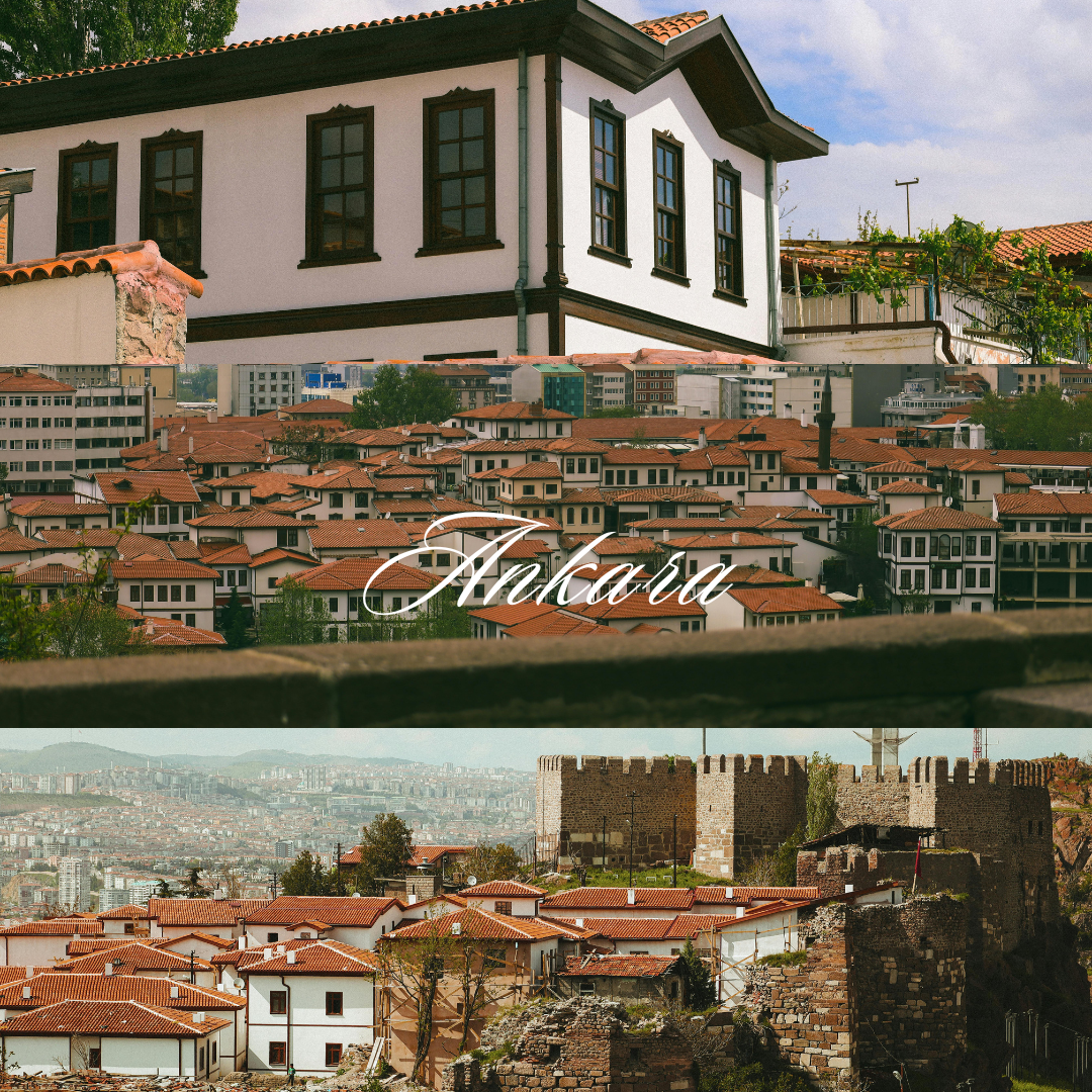 По Стамбулу. Lavi de Rêve (travel)