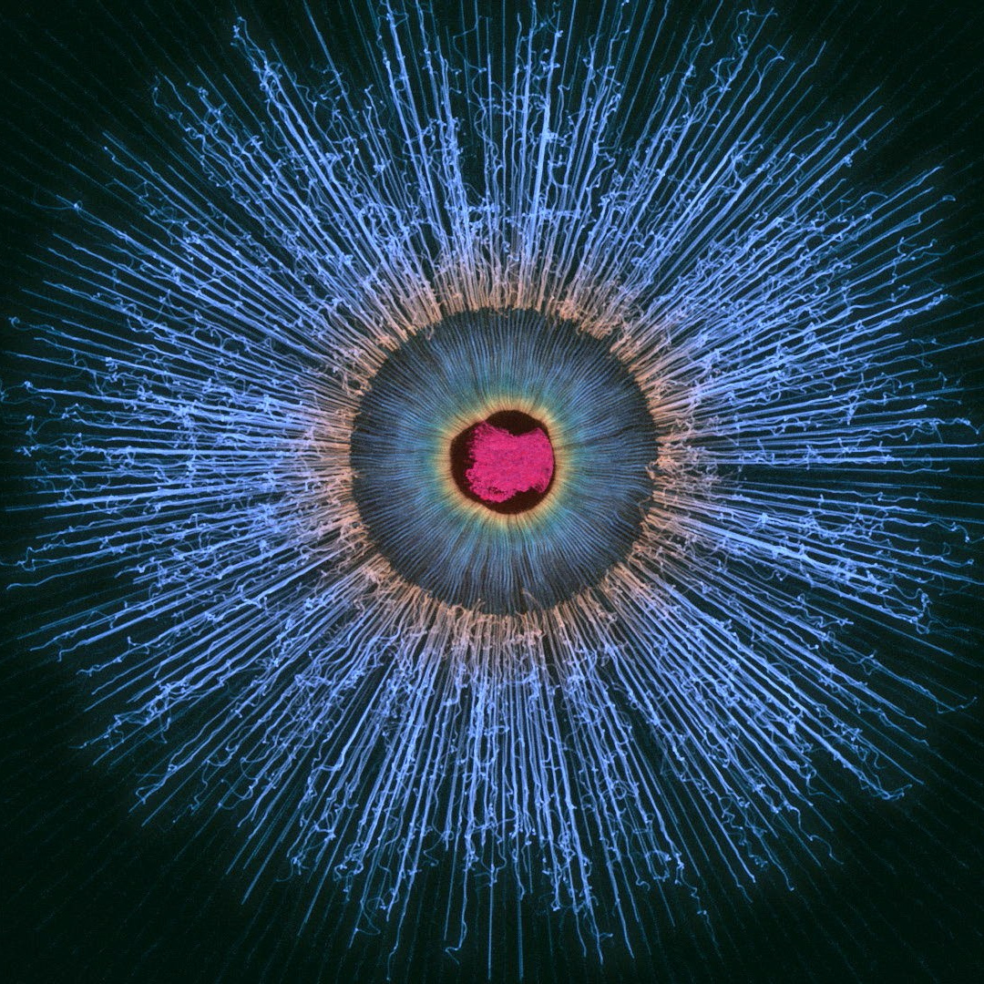 Main. Анатолий Зайончковский. Профессиональный видеомонтаж для YouTube и не только