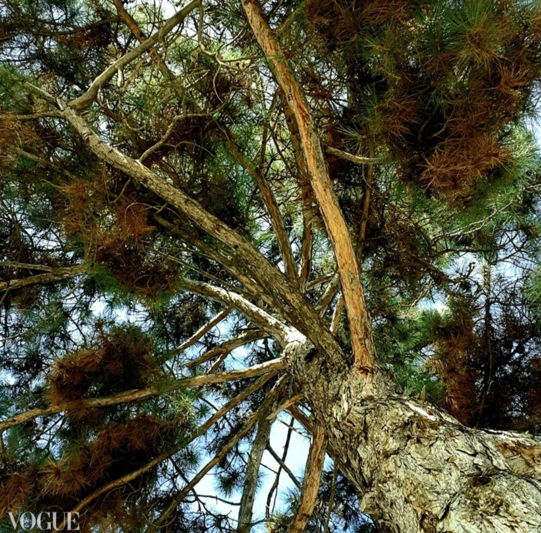 ПУБЛИКАЦИИ. Современное искусство, глитч арт, glitch art