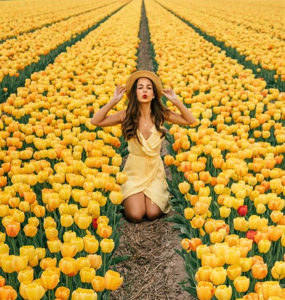 Загальні рекомендації по одягу для фотосесії в тюльпанах. Сімейний фотограф Київ Наталія Шкаврон