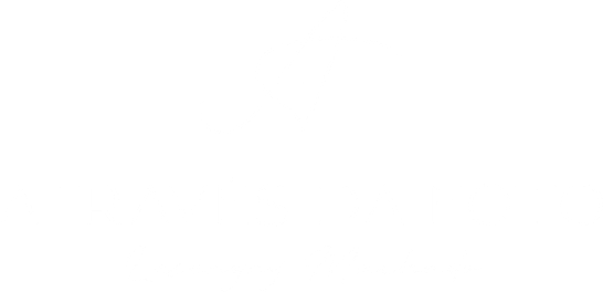atravesdafoto.com.br
