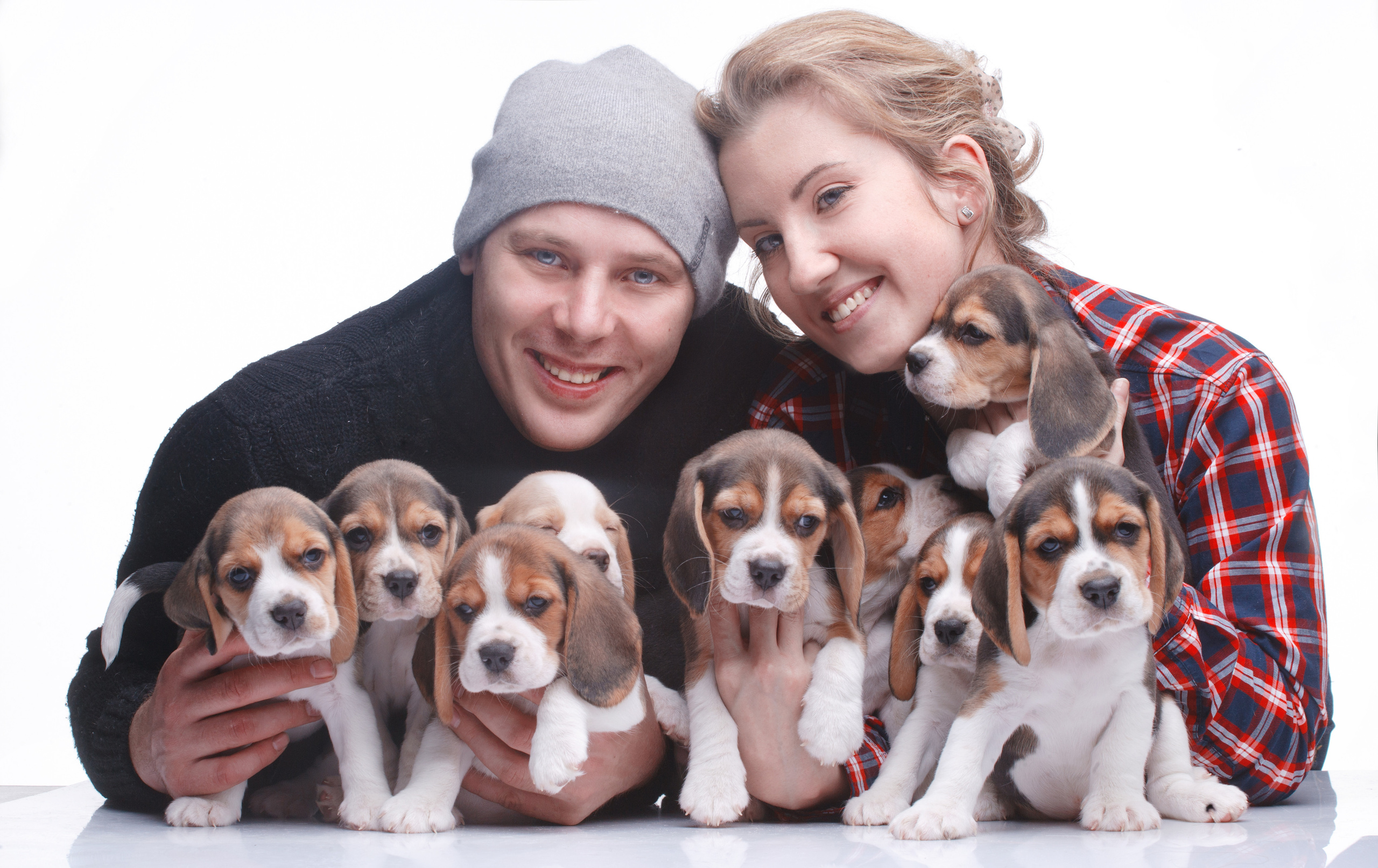 Contact. Питомник биглей Selesta’s Dreams