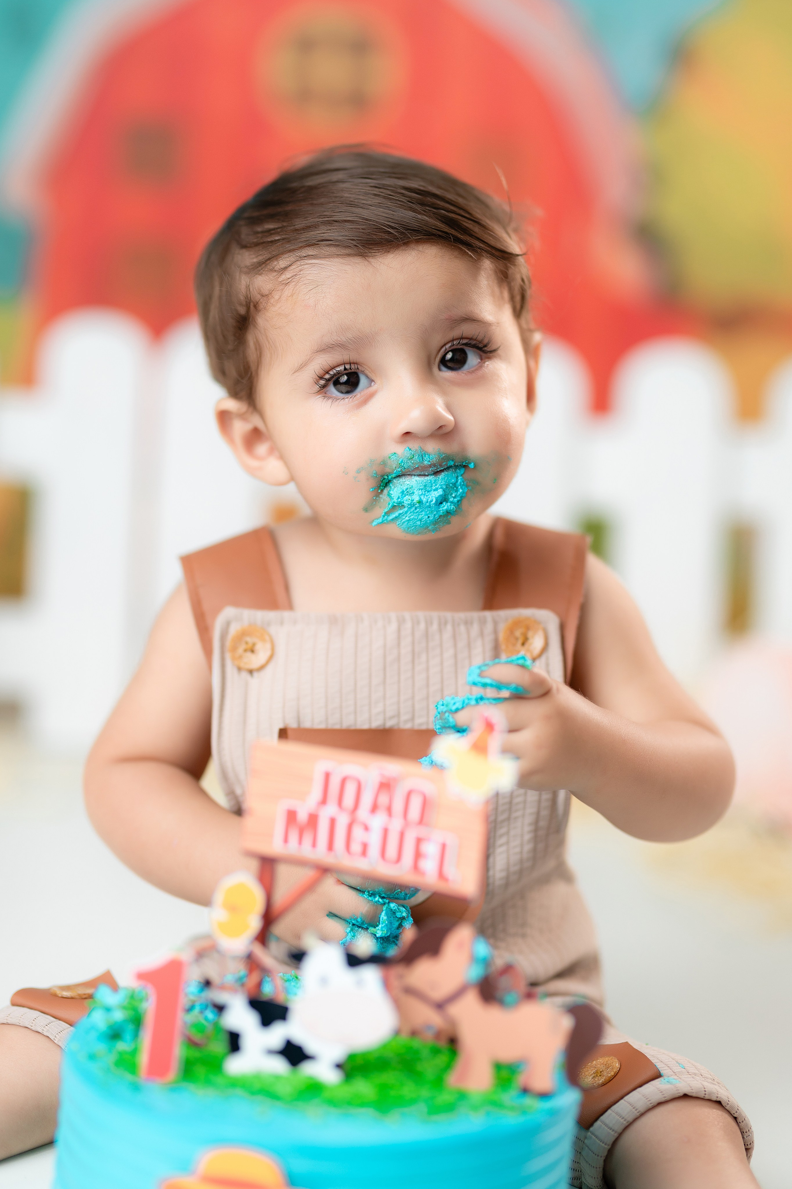 Fotografamos famílias, gestantes, bebês e ensaios individuais