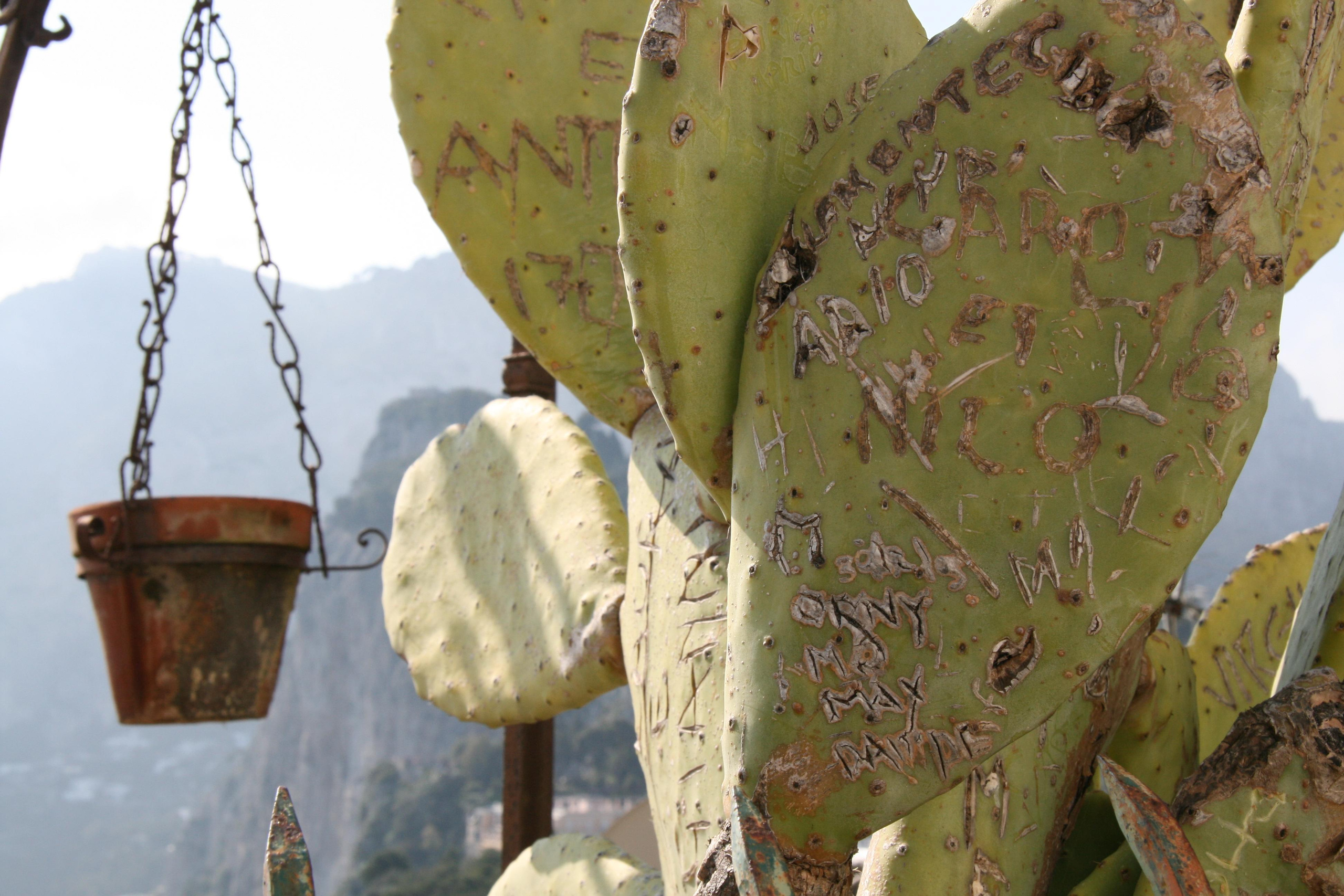 ПОГОРИЯ. Natalia Bogdanovska. Films et photographie corporate en France