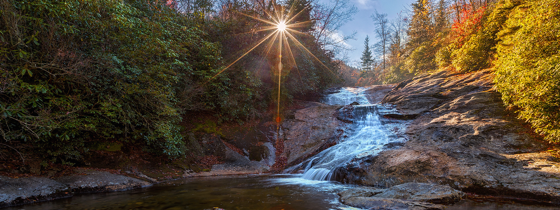 Smokey Mountains Черновик программы. Pet, Senior, Landscape, portrait studio, photographer in Miami and Sou