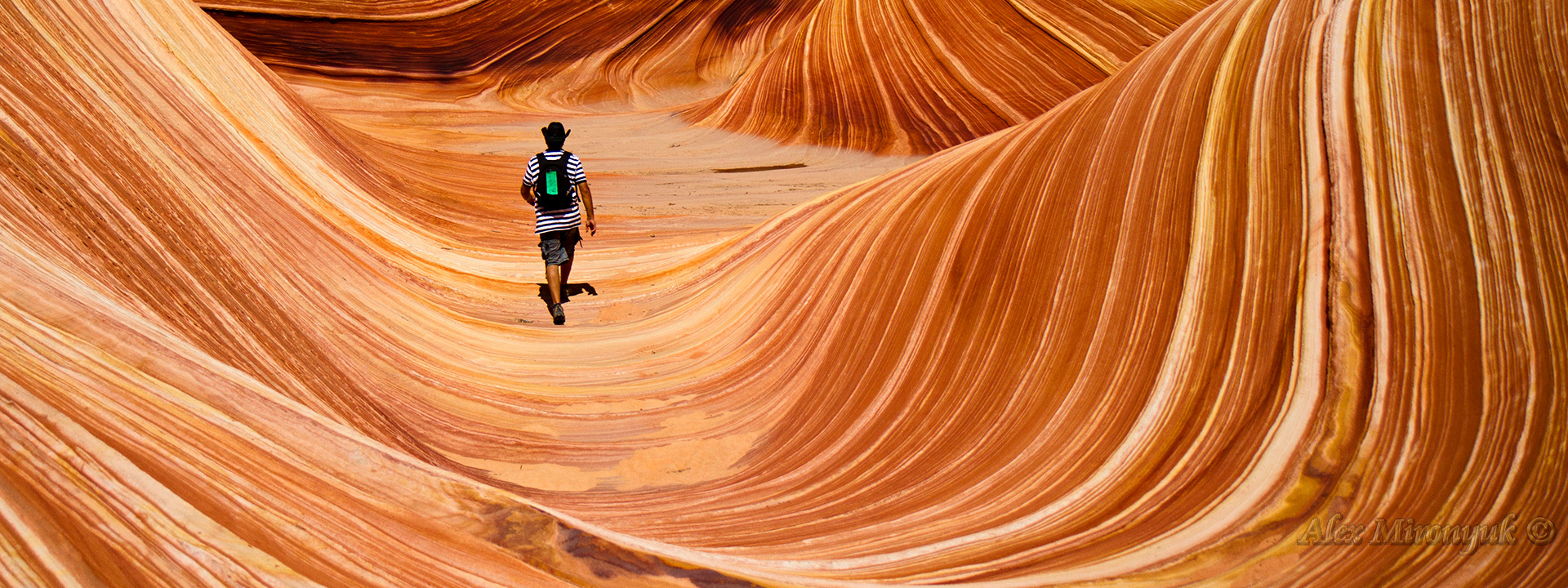 Christmas at Navajo Land. Pet, Senior, Landscape, portrait studio, photographer in Miami and Sou