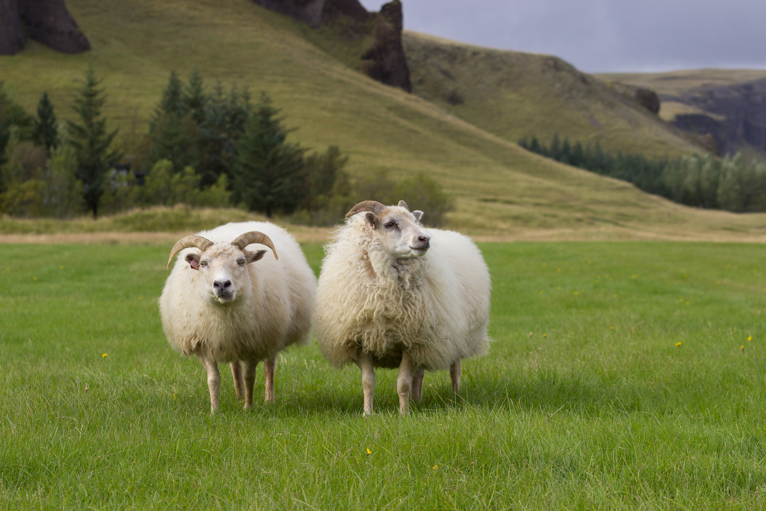 Iceland. Photographer ~ based in vilnius ~