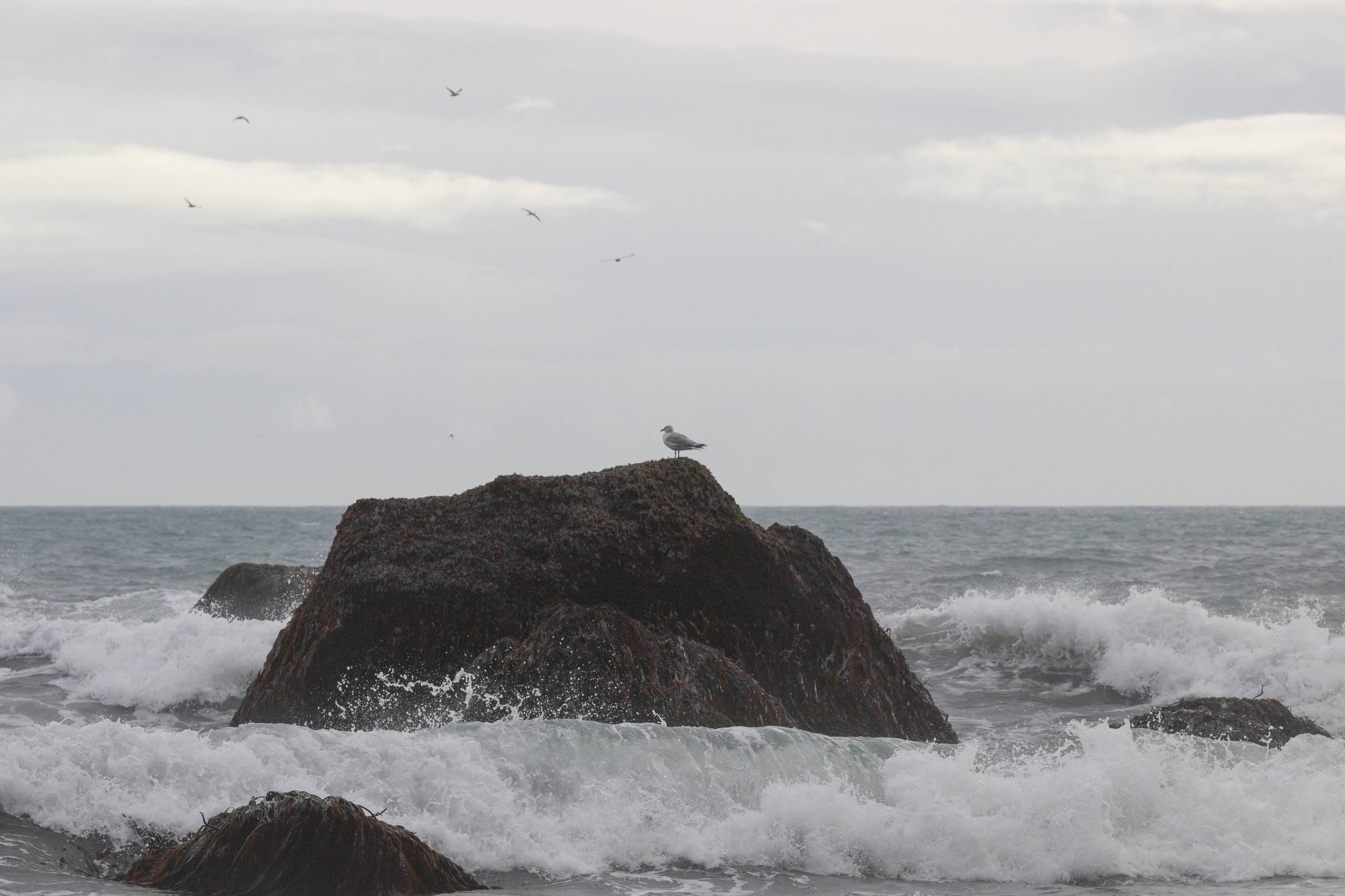 Iceland. Photographer ~ based in vilnius ~