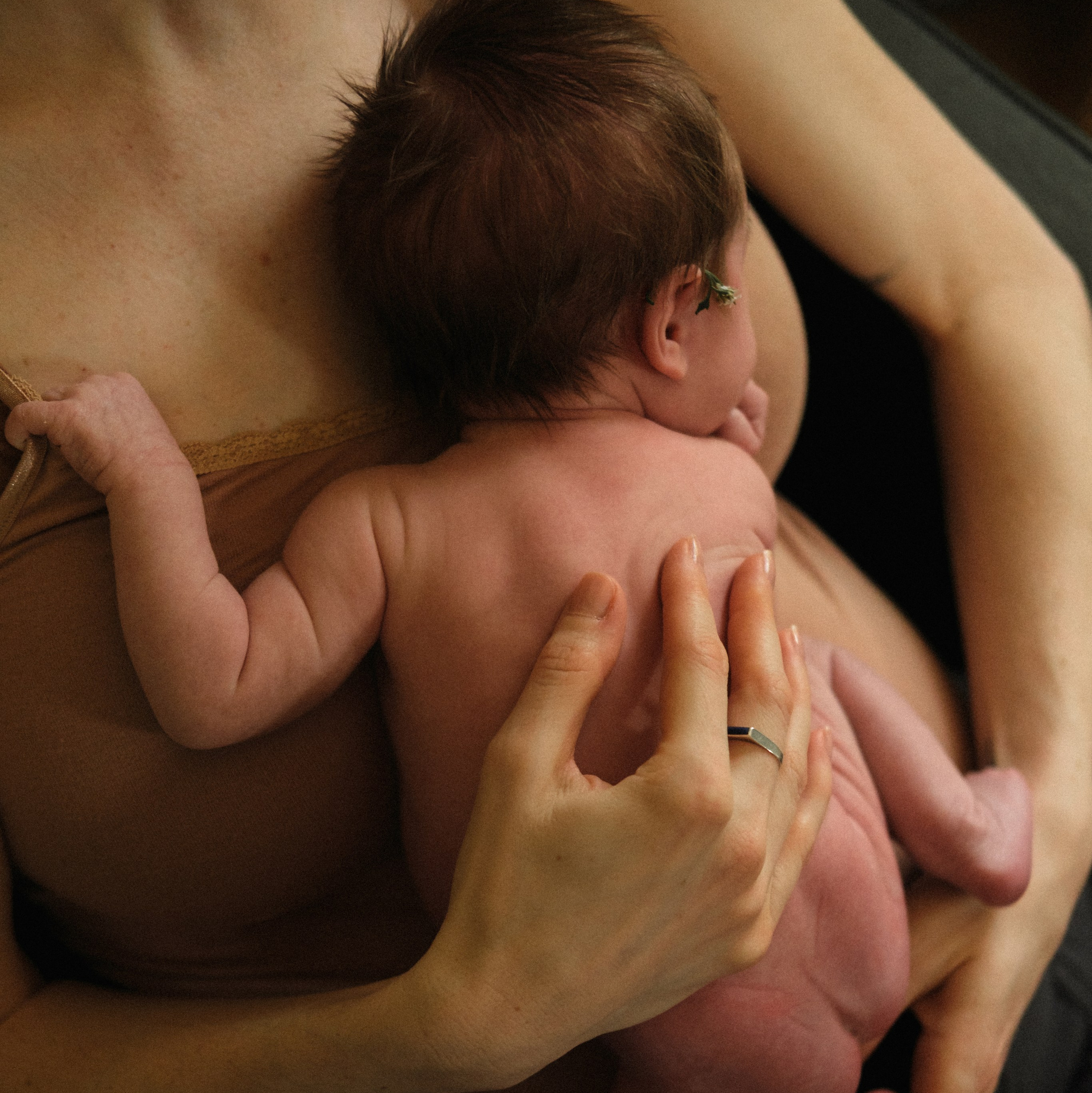 Services. Family photographer Anna Dobrovolskaia | Richmond, VA