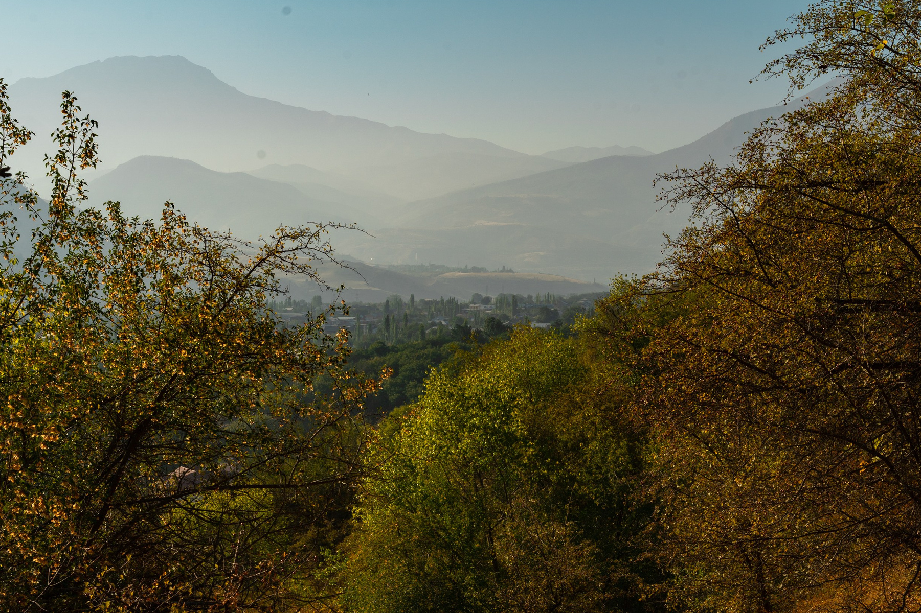 Курсы по фотографии. Фотограф Григорий Кравец