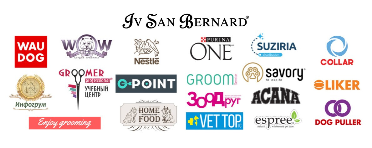 Про мене. Pets and people photographer Kateryna Mumzhynska