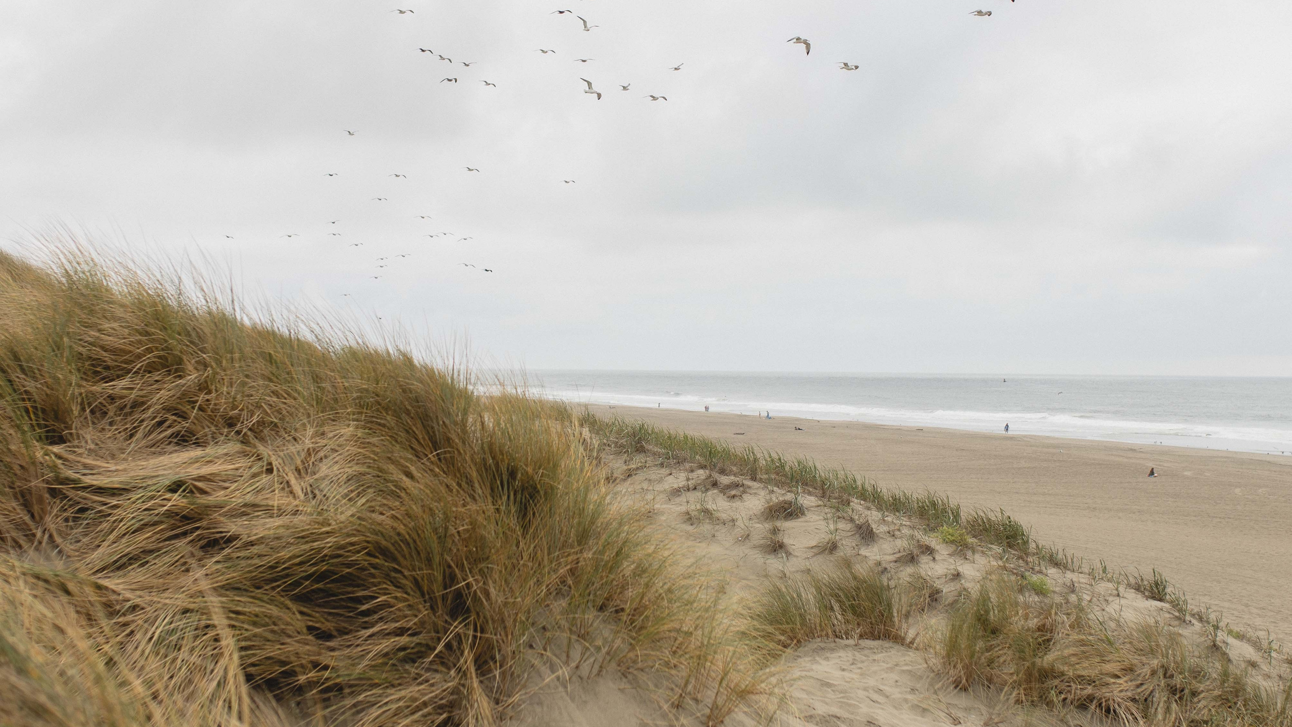 What To Wear For Maternity Photo Session. Maternity, newborn photographer in the Bay Area|Iryna Rakivnenko