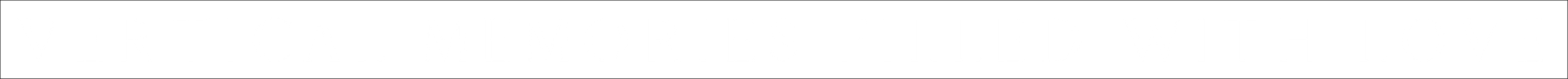 ALEX ZARIES, WEDDING VIDEOGRAPHER