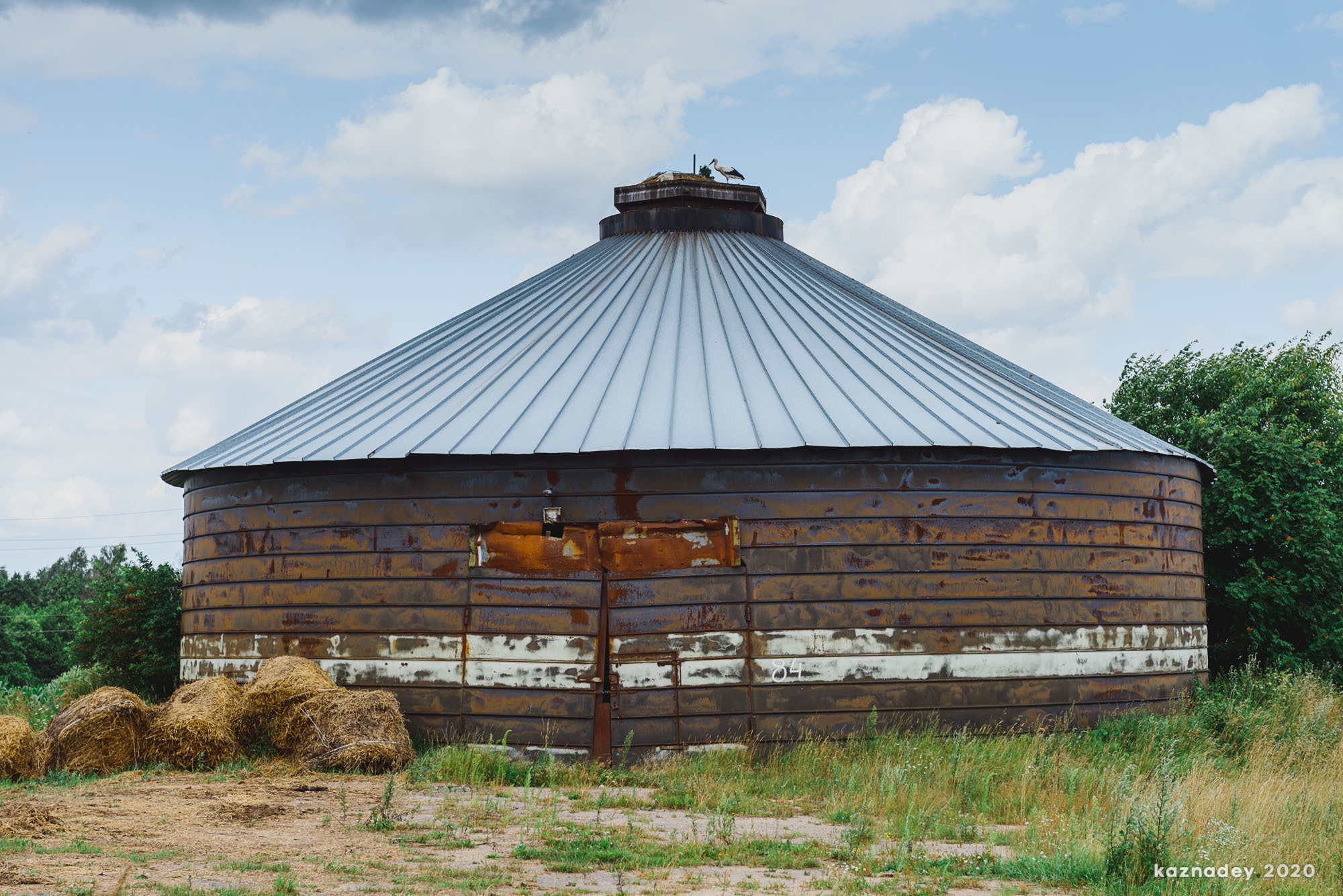 Дорога тишины, Алексей Казнадей, kaznadey