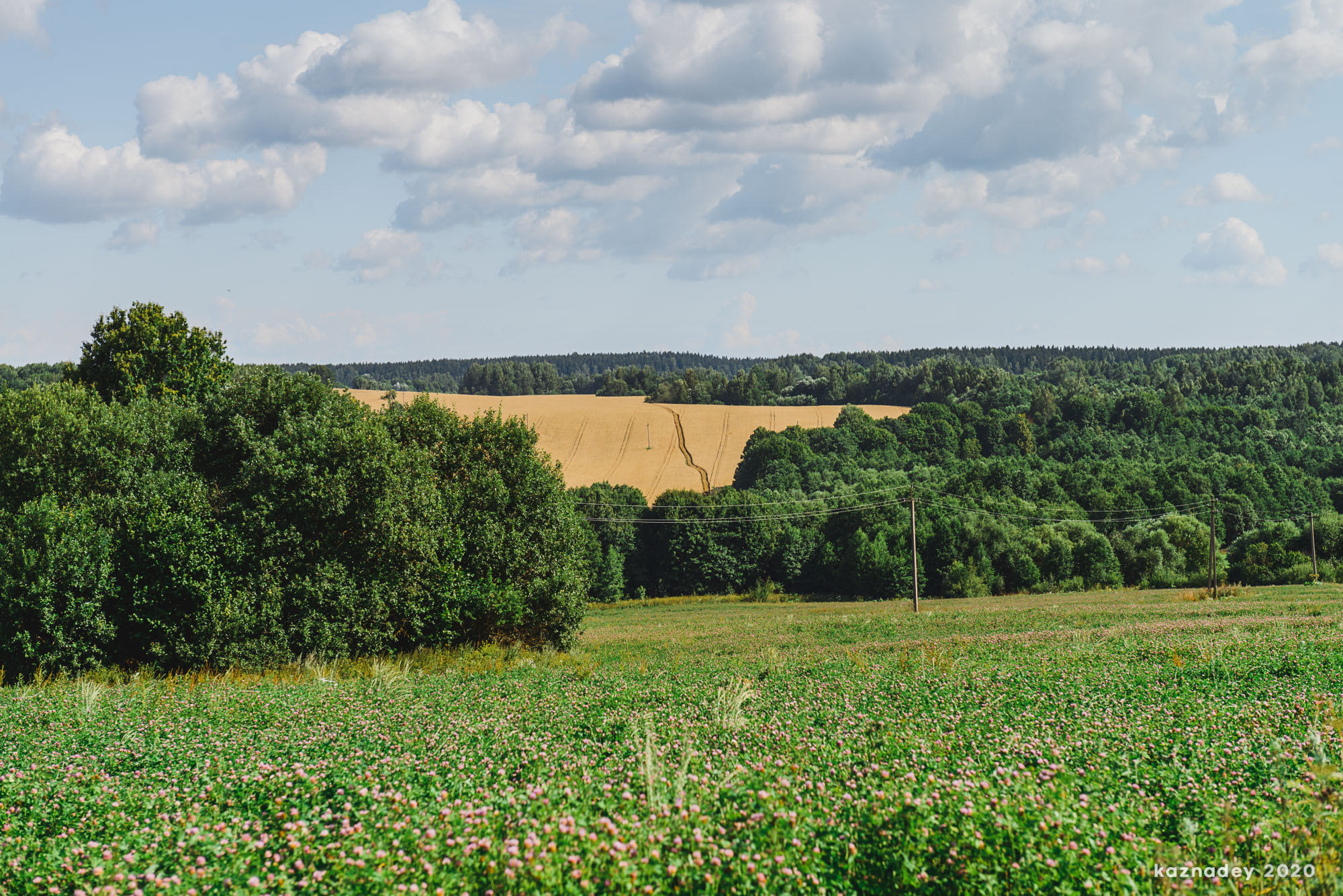 Дорога тишины, Алексей Казнадей, kaznadey