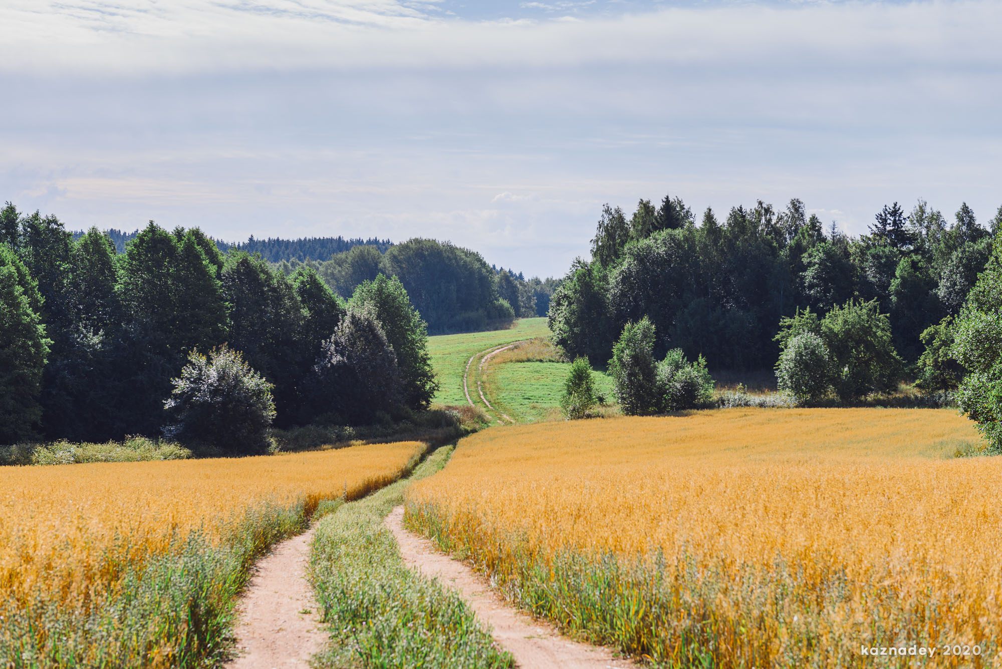 Дорога тишины, Алексей Казнадей, kaznadey