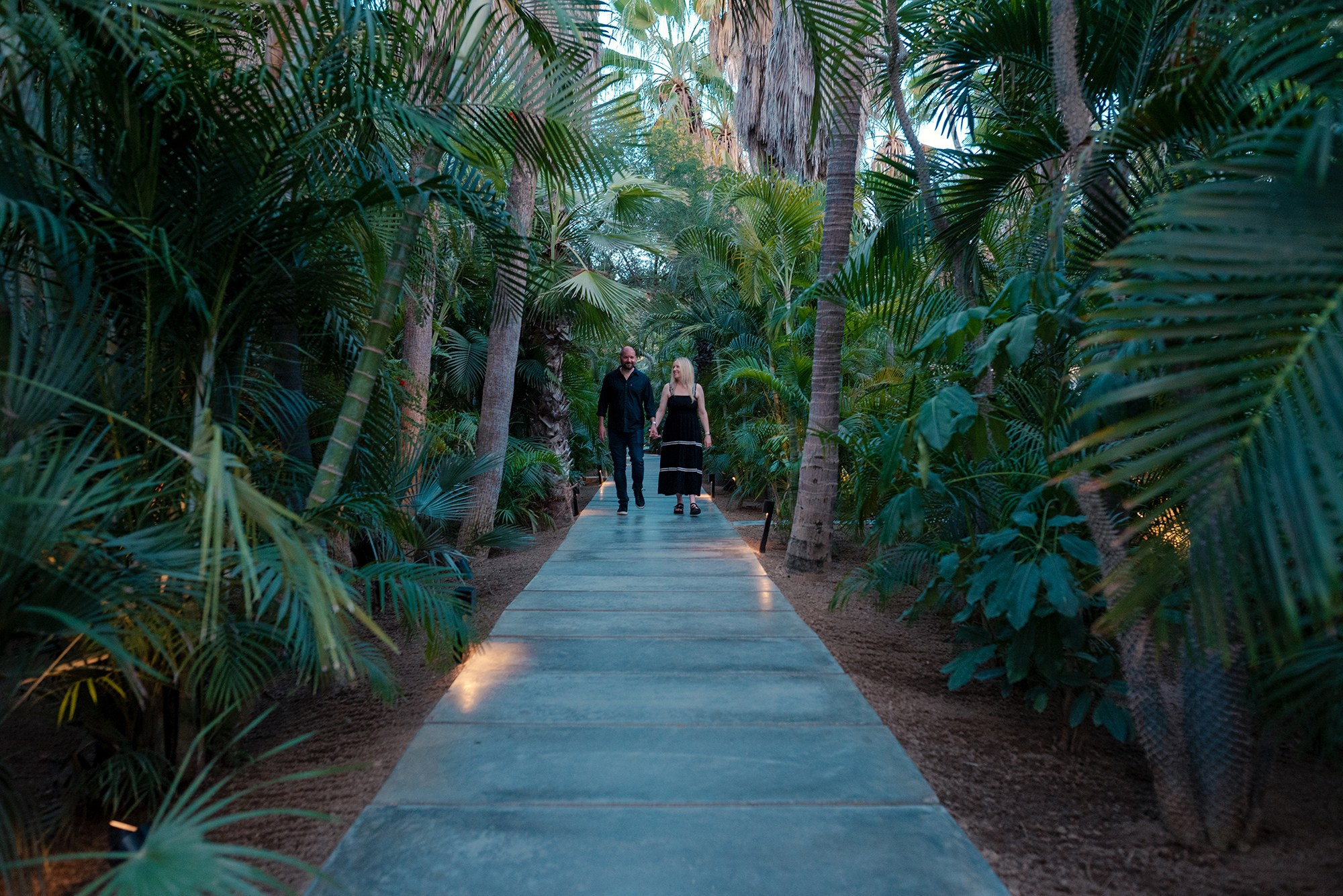 Couple walking through palm corridor at Acre Restaurant San José del Cabo before surprise marriage proposal