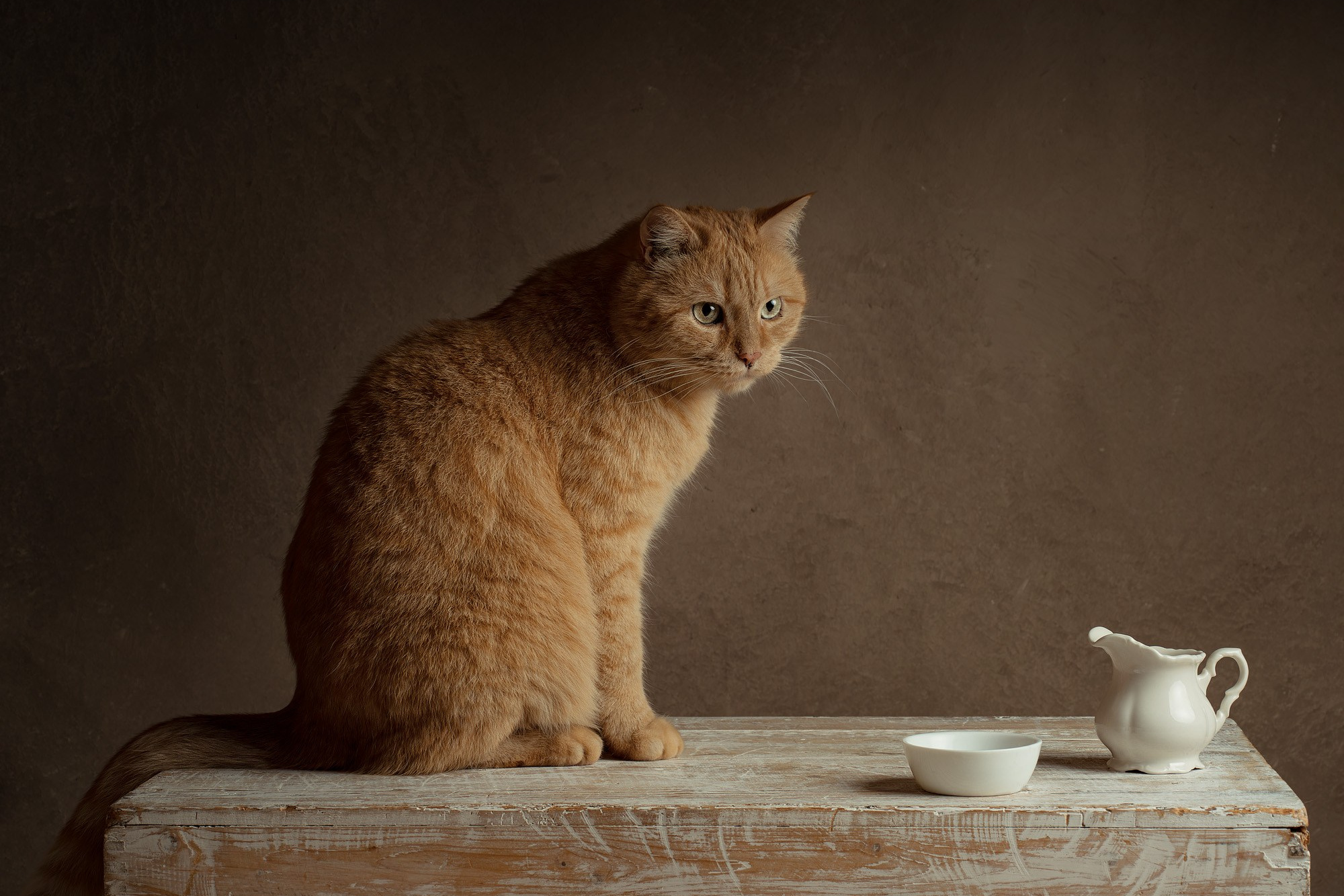 Fotoservice Preise von ​Anzhelika Costin Familien- und Kunstfotografin. Anzhelika Costin fine art Porträts und Familien Fotografie in Fulda