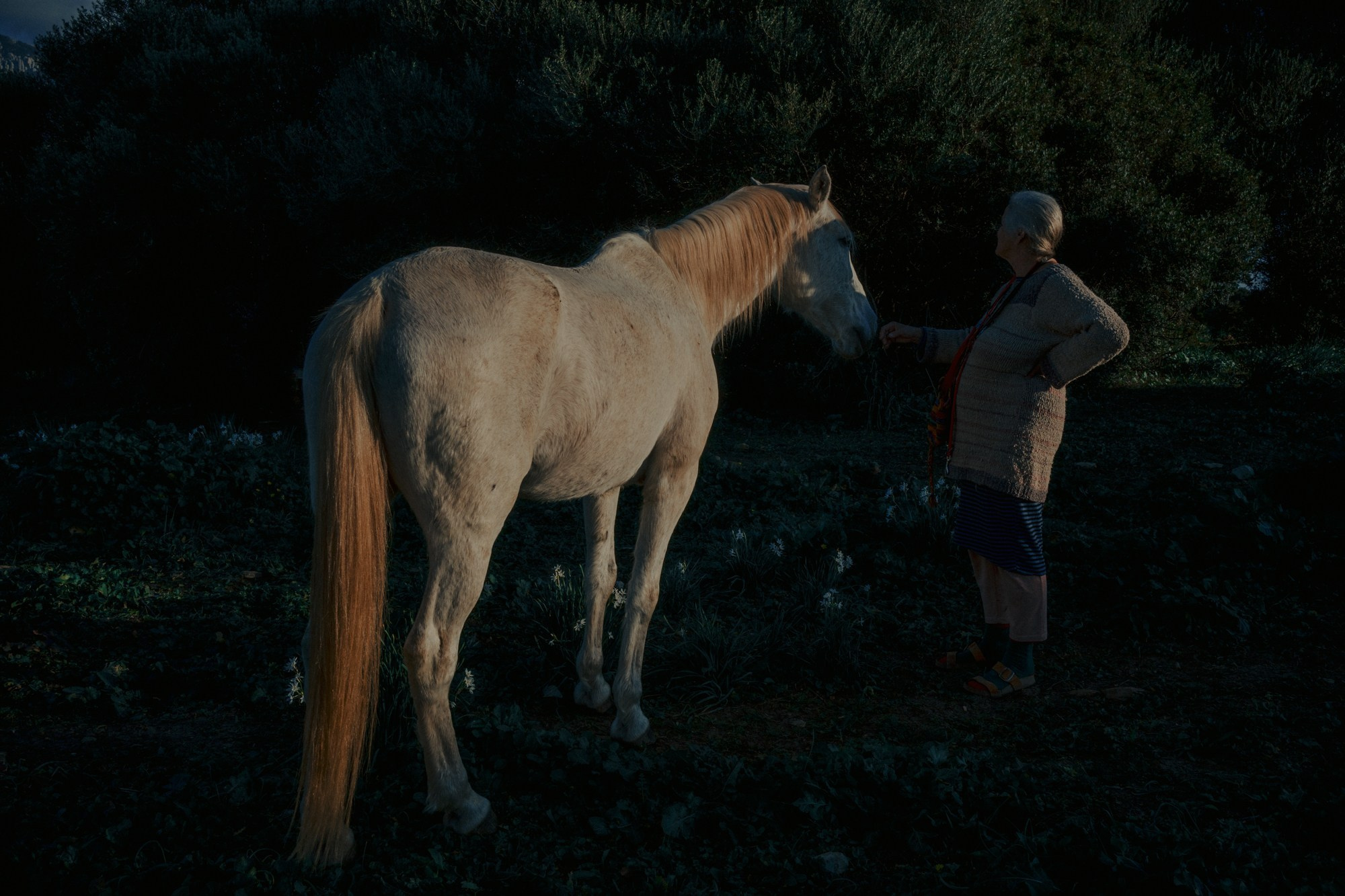 Therapeutic Photography Workshop. Lilit Danielyan | photographer| filmmaker | teaching artist