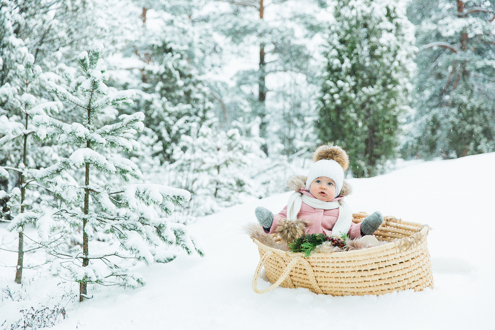 Joulukorttikuvaus 2022