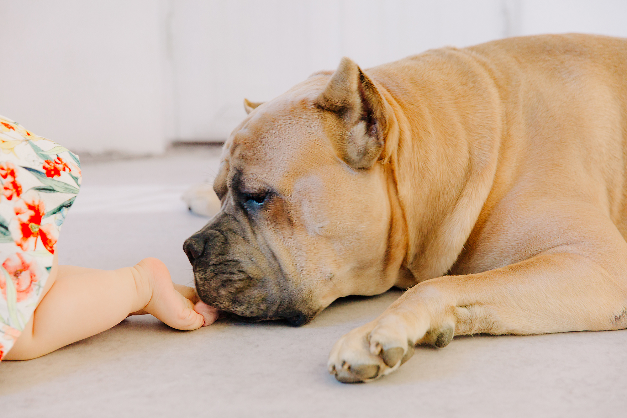 Yksivuotis- + smash the cake kuvaus, Espoossa