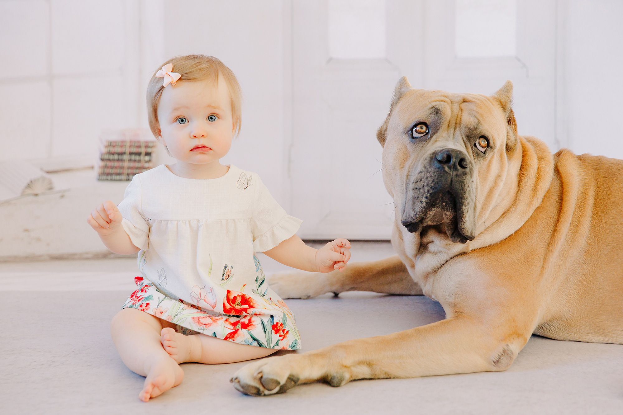 Yksivuotis- + smash the cake kuvaus, Espoossa