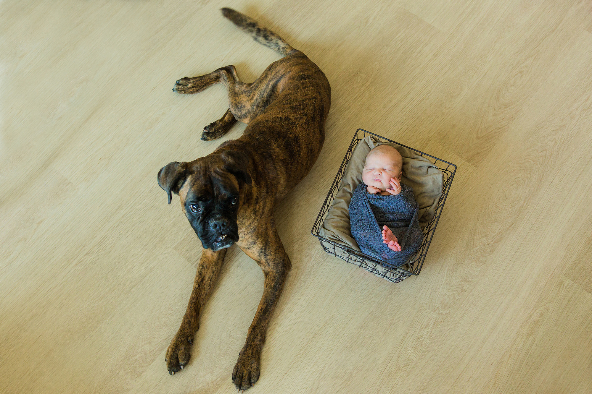 Vastasyntyneen kuvaus Malminkartanossa