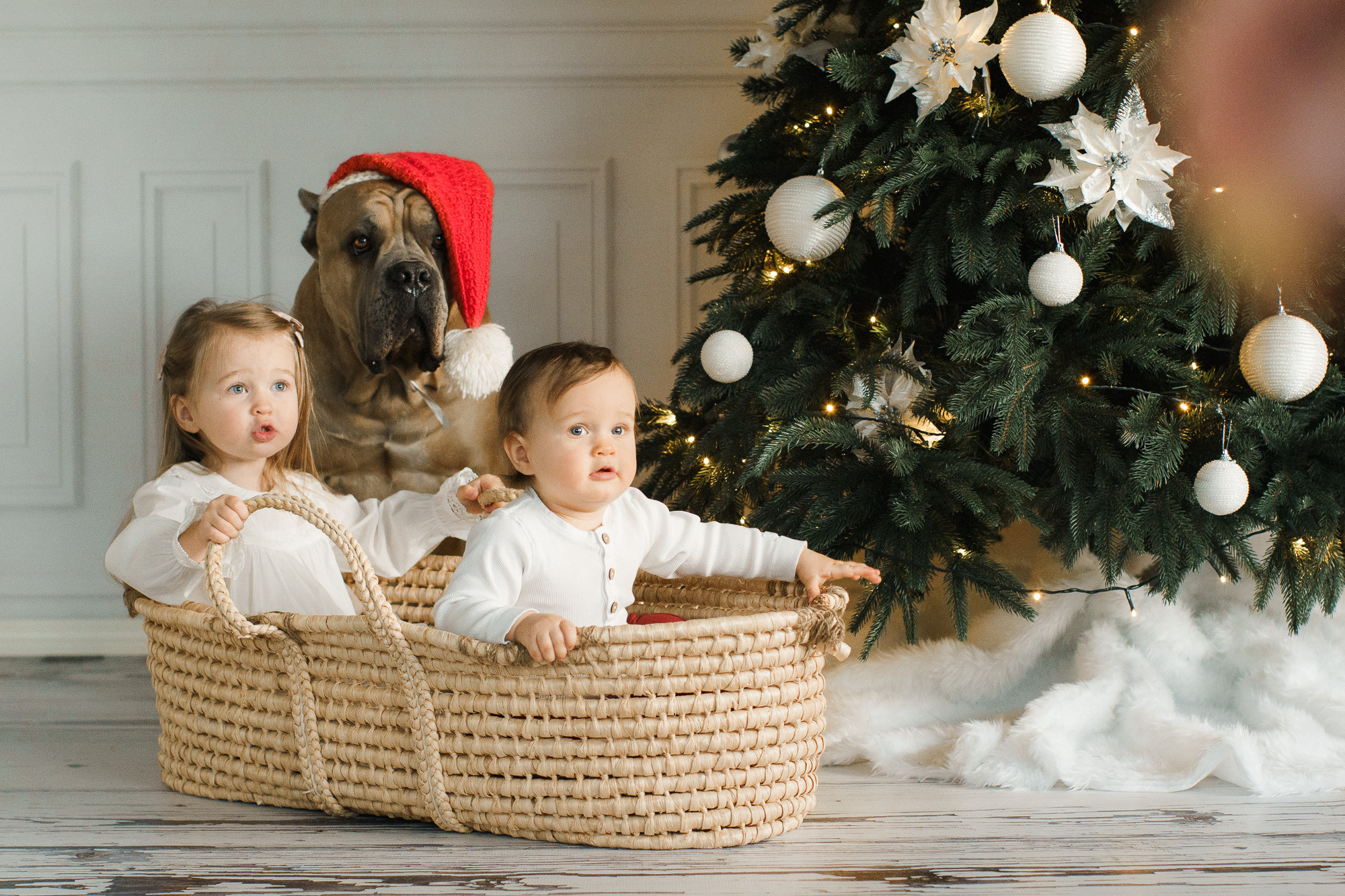 Joulukorttikuvaus 2022